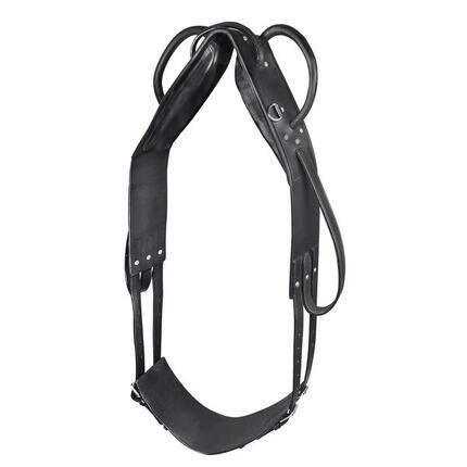 Surfaix pour cheval voltige et de longe Star