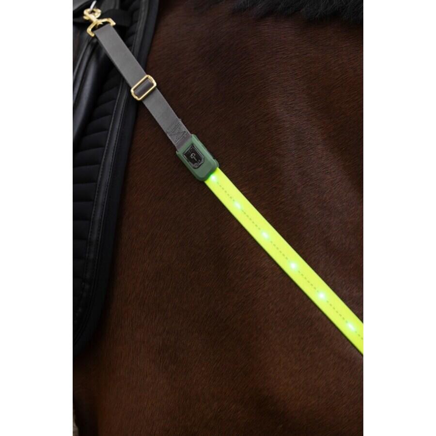 Collier de chasse à LED pour cheval Covalliero 3/3