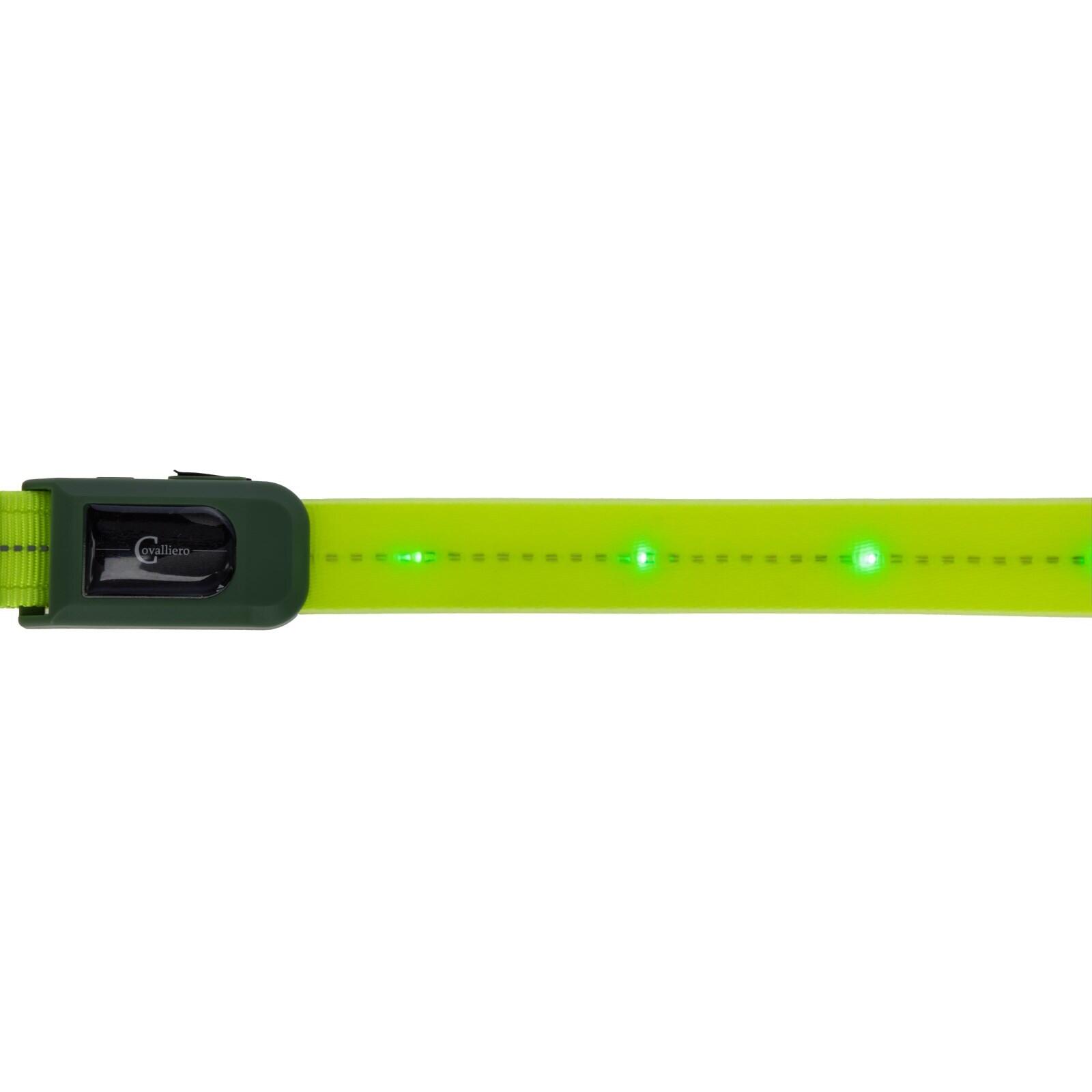 Collier de chasse à LED pour cheval Covalliero 2/3