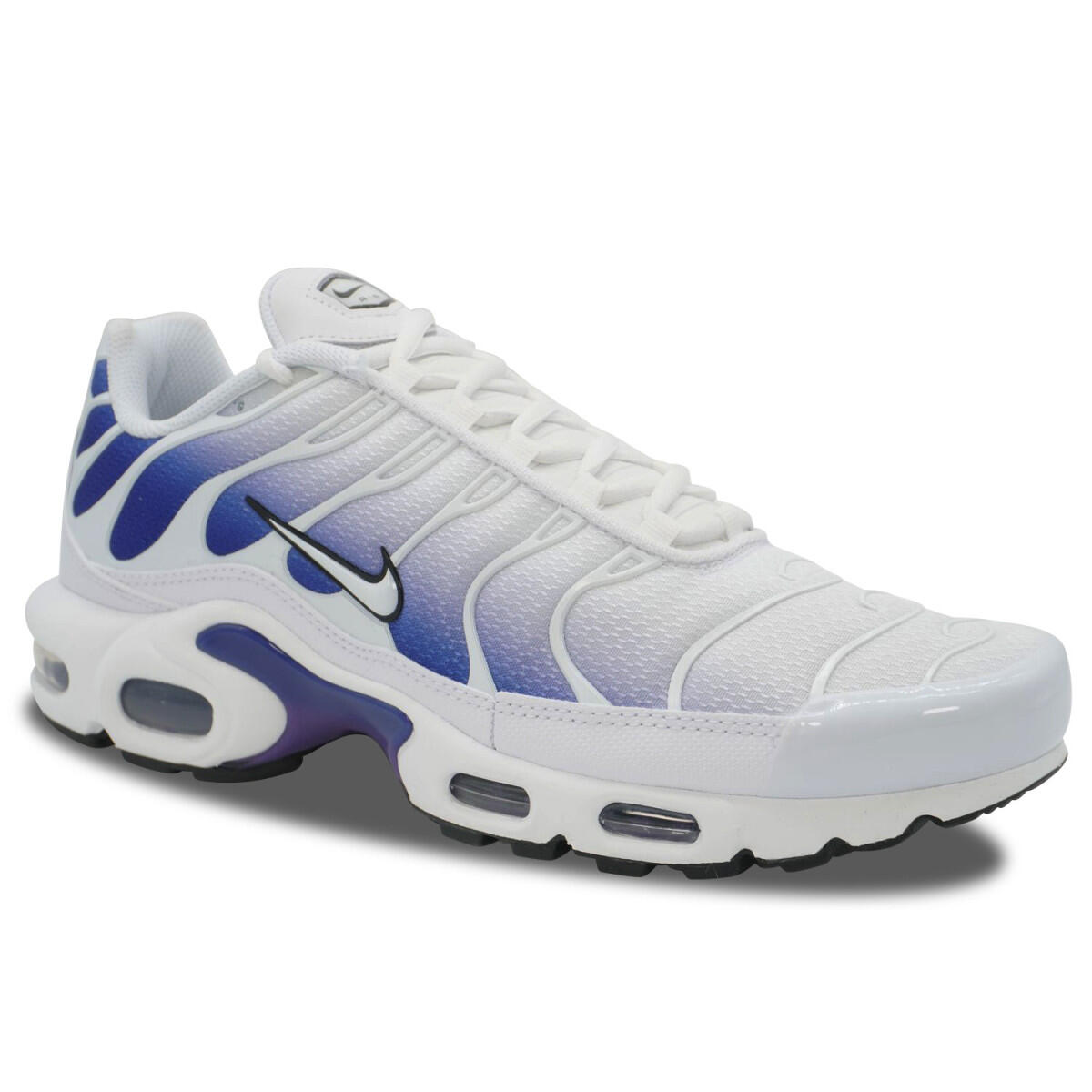 Nike Air Max Plus TN Wild Grape 2/4