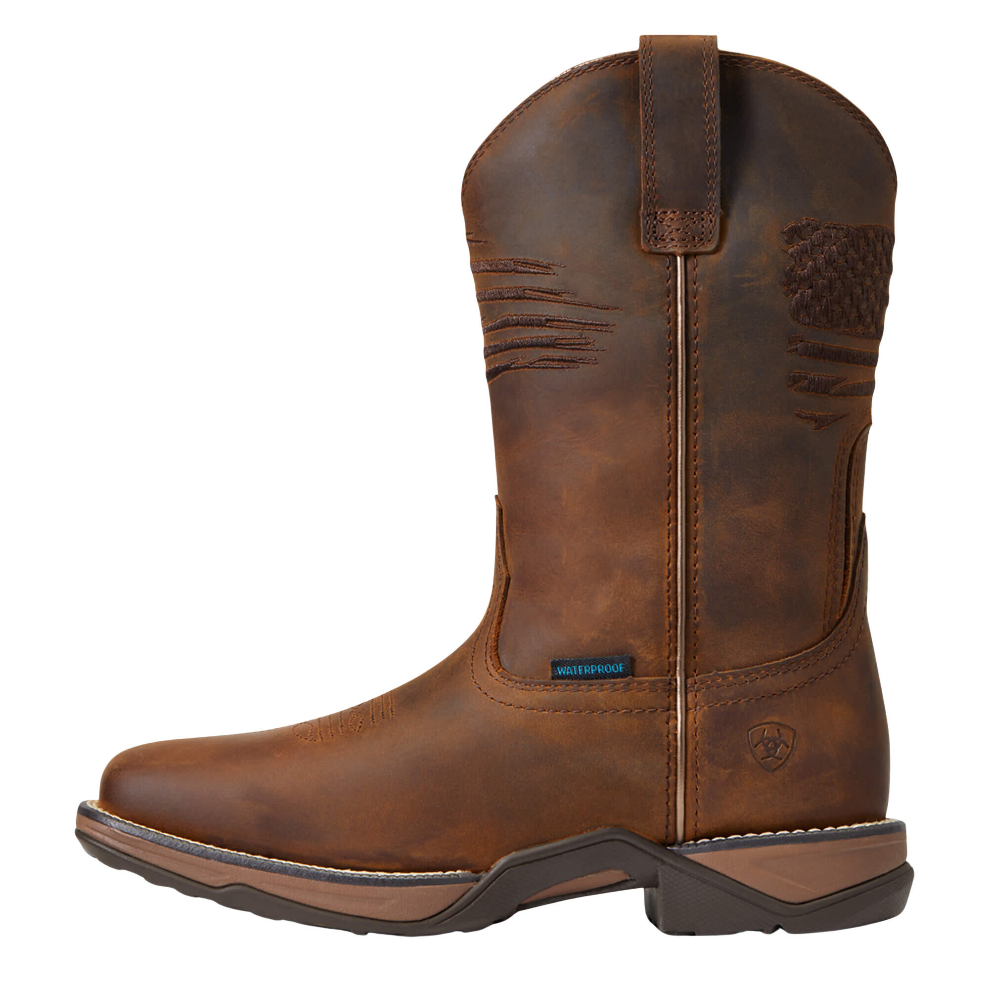 ARIAT picture