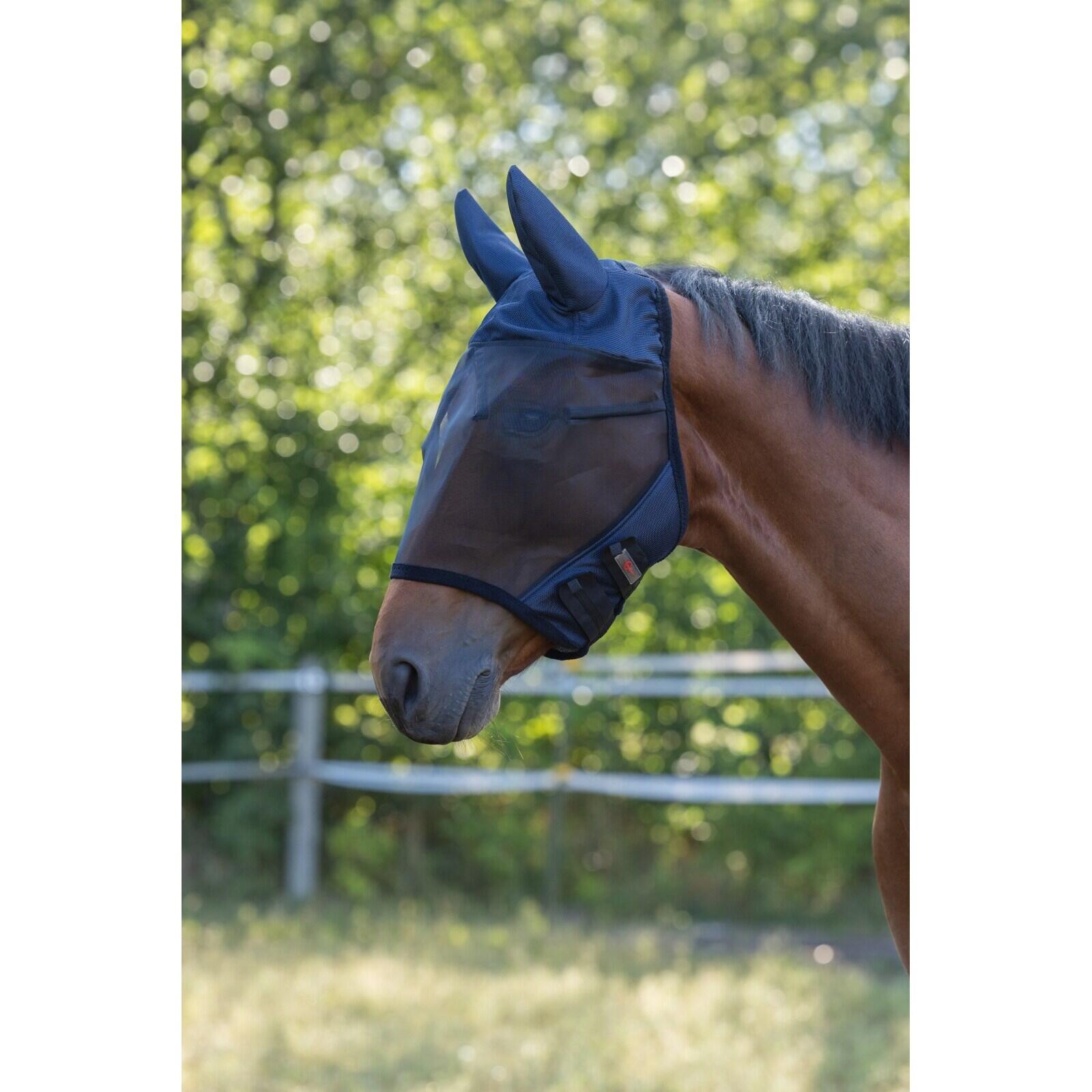 COVALLIERO picture