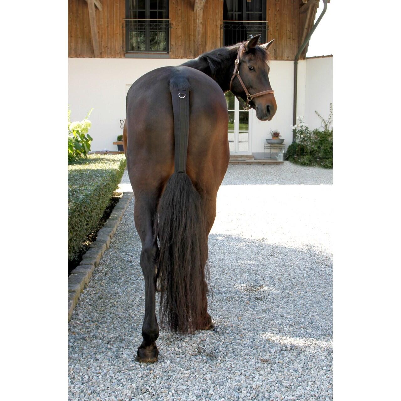 Protège-queue pour cheval en caoutchouc Covalliero 3/3