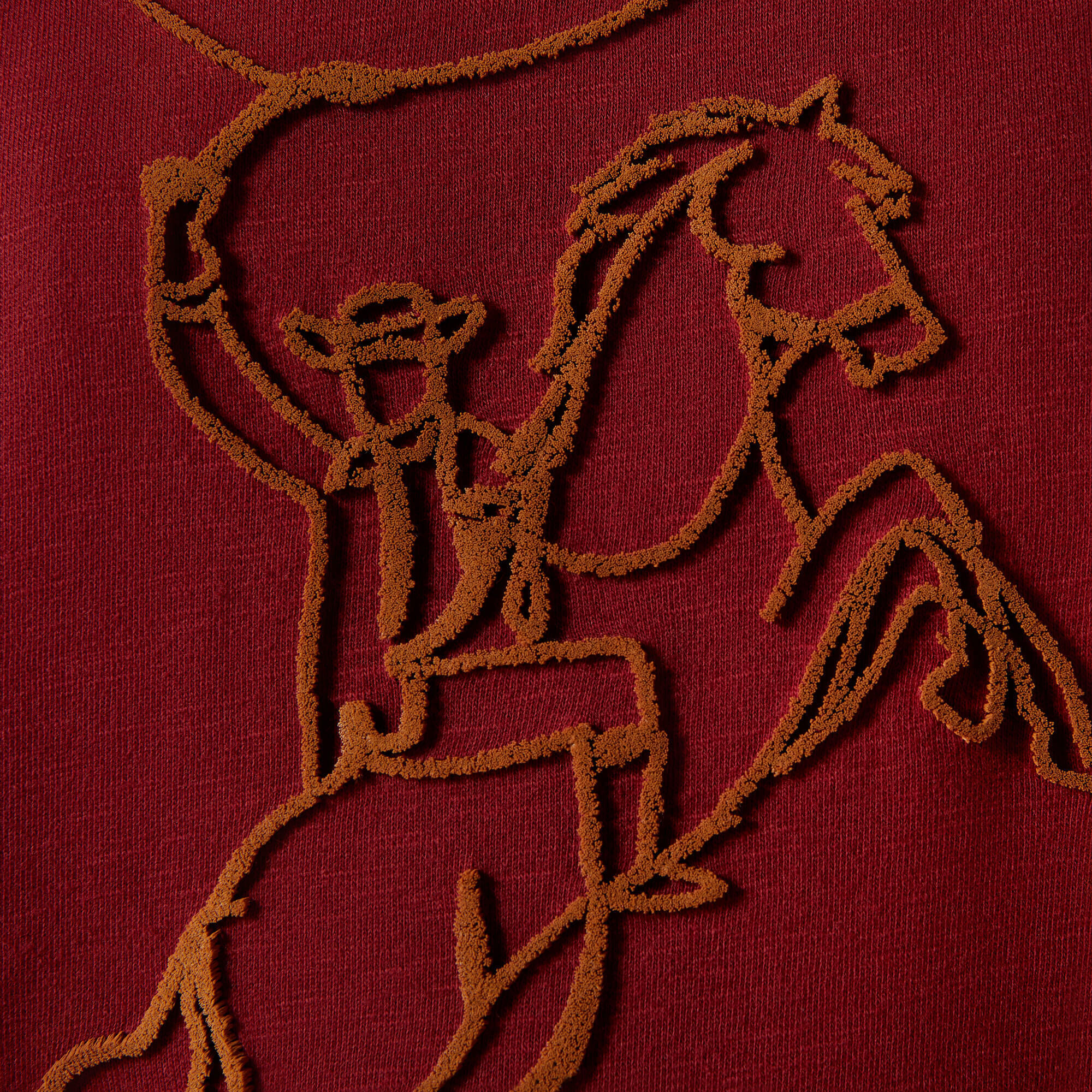 Felpa da donna Ariat Lasso 4/5