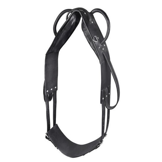 Surfaix pour cheval voltige et de longe Star