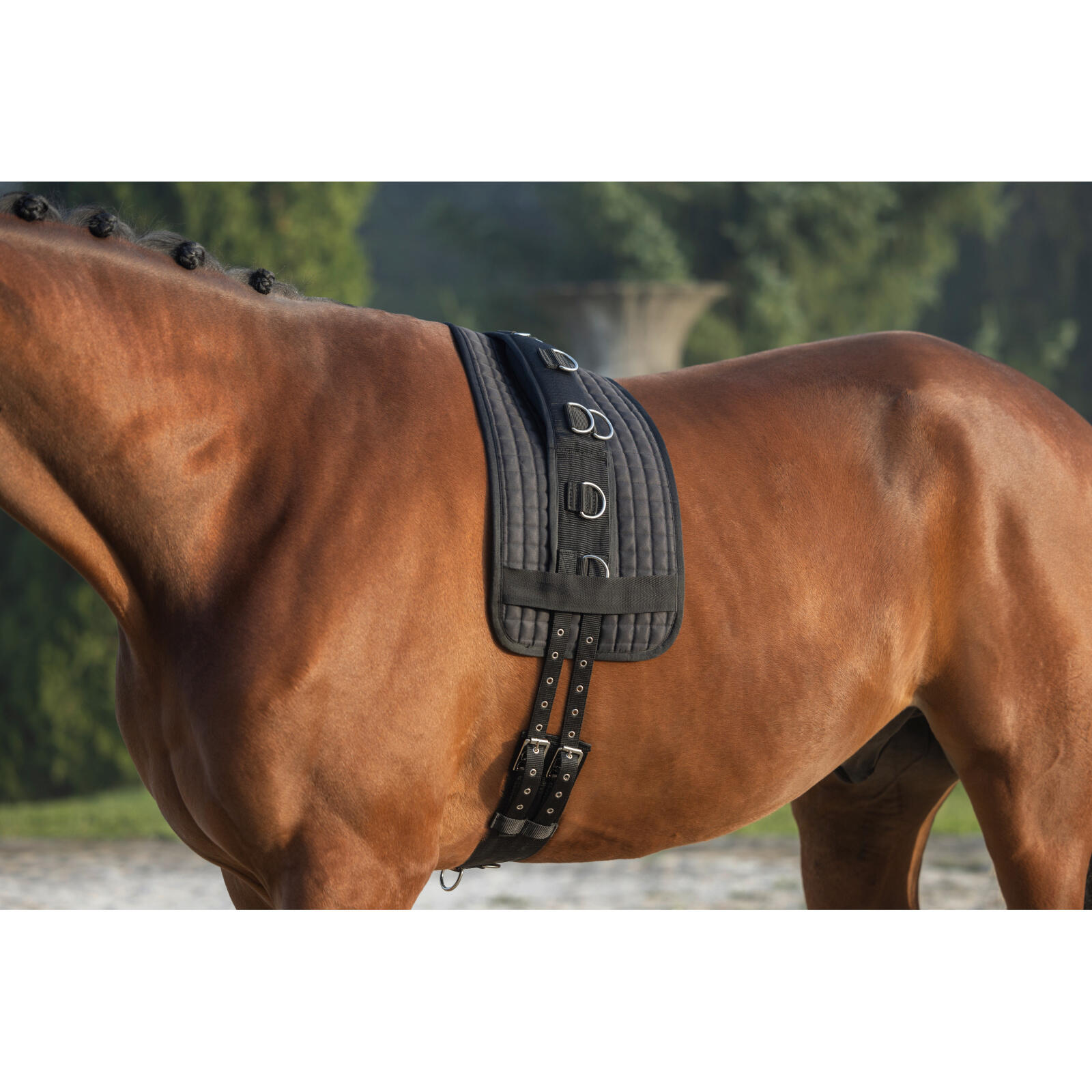 Surfaix pour cheval Covalliero 3/4
