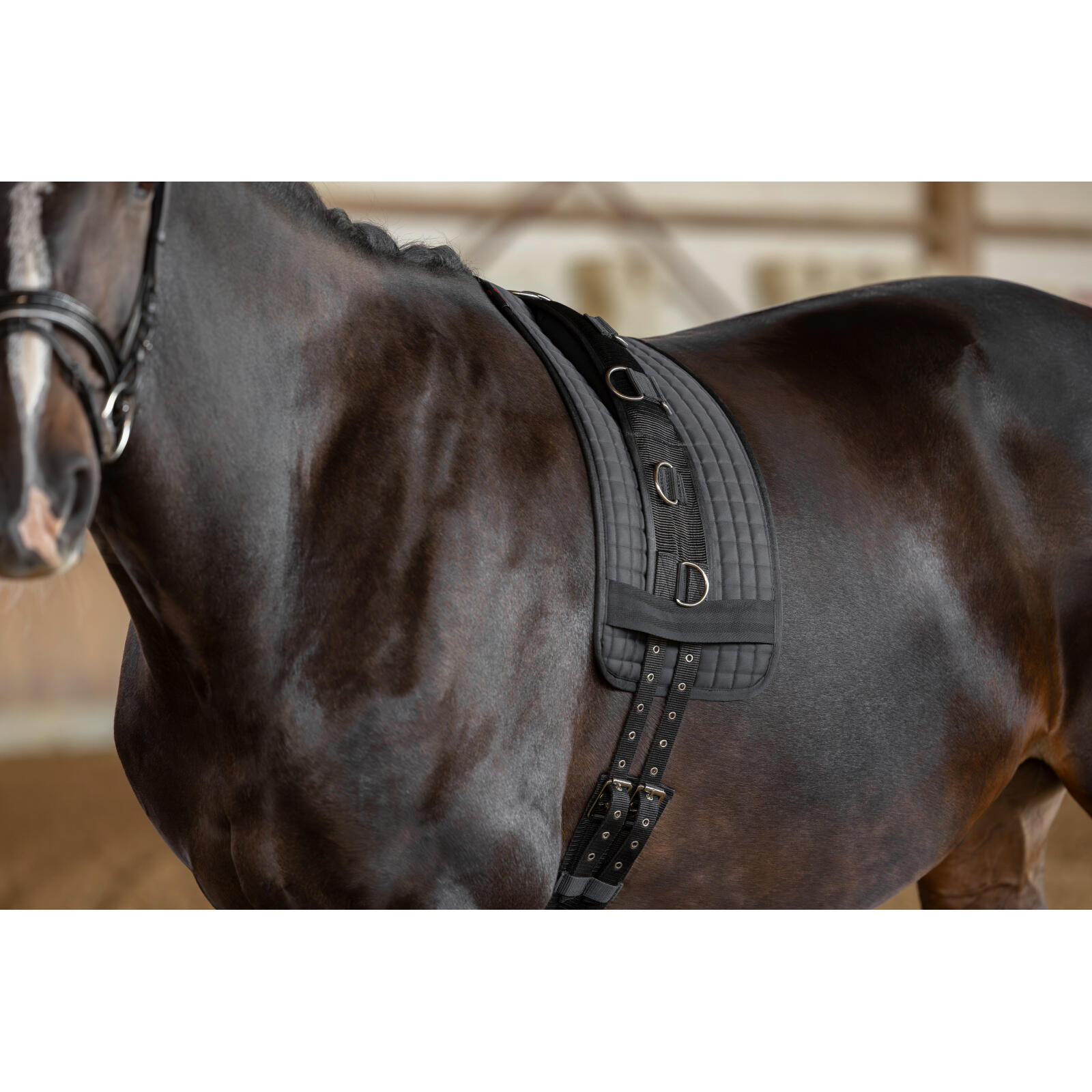 Surfaix pour cheval Covalliero 4/4