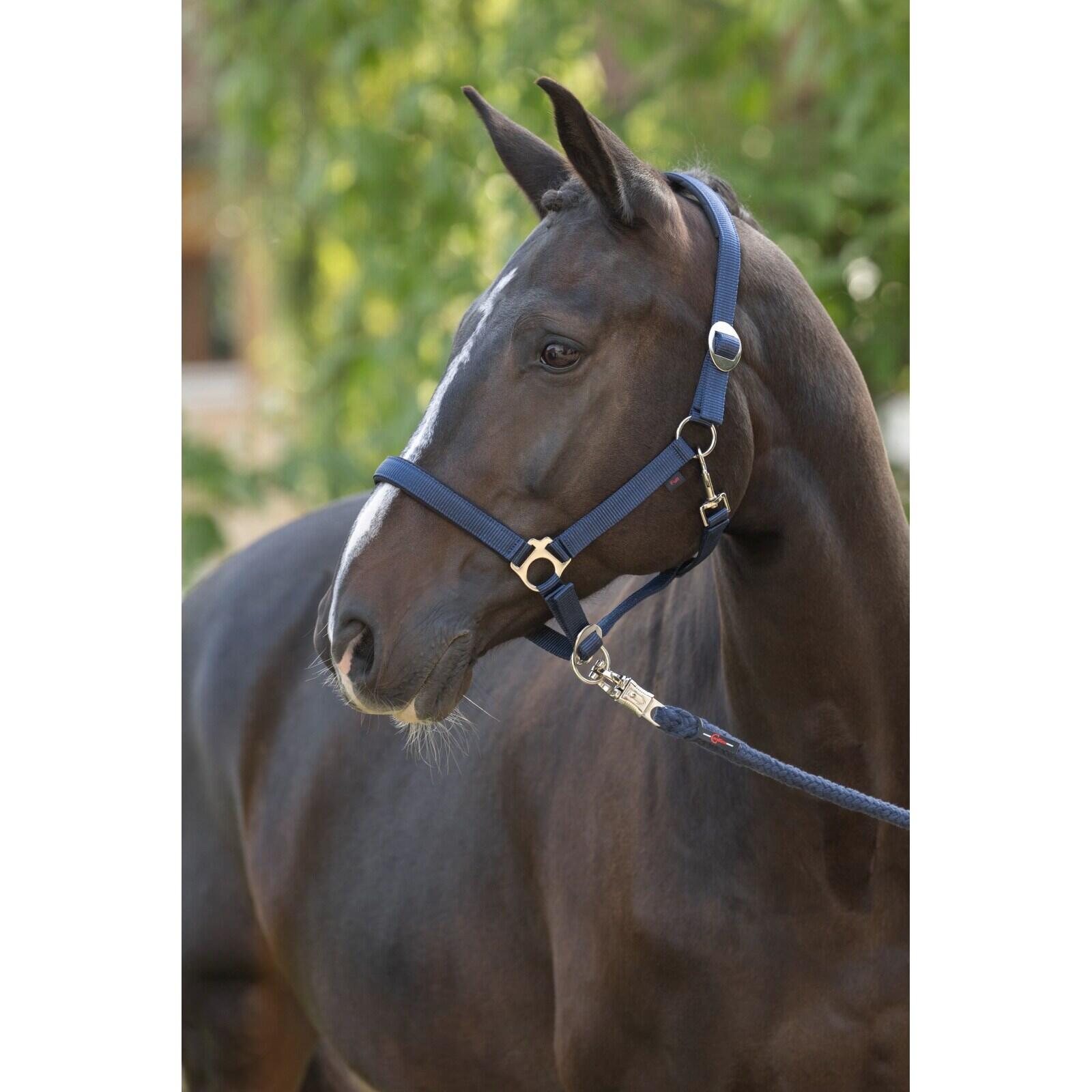 COVALLIERO picture