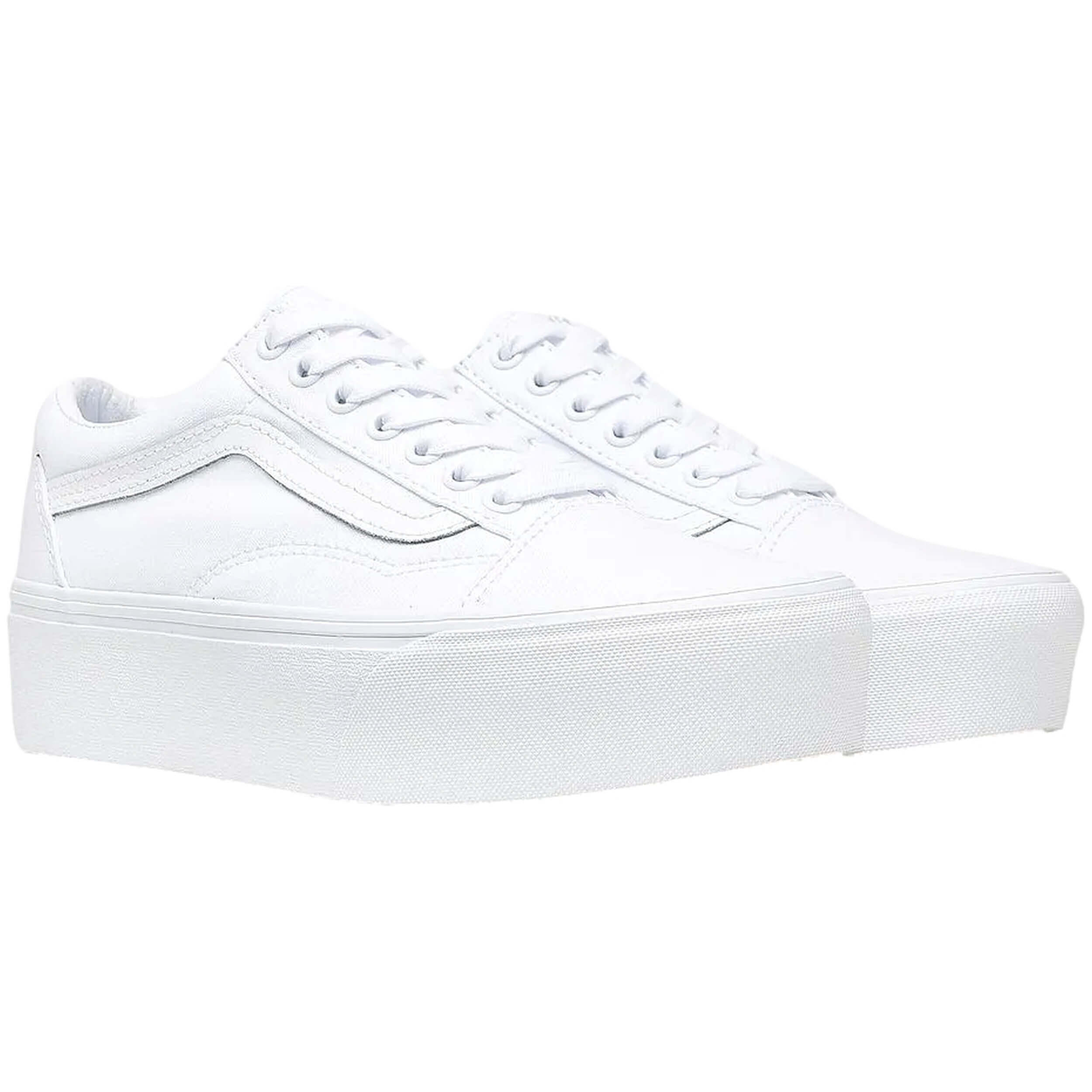 VANS picture