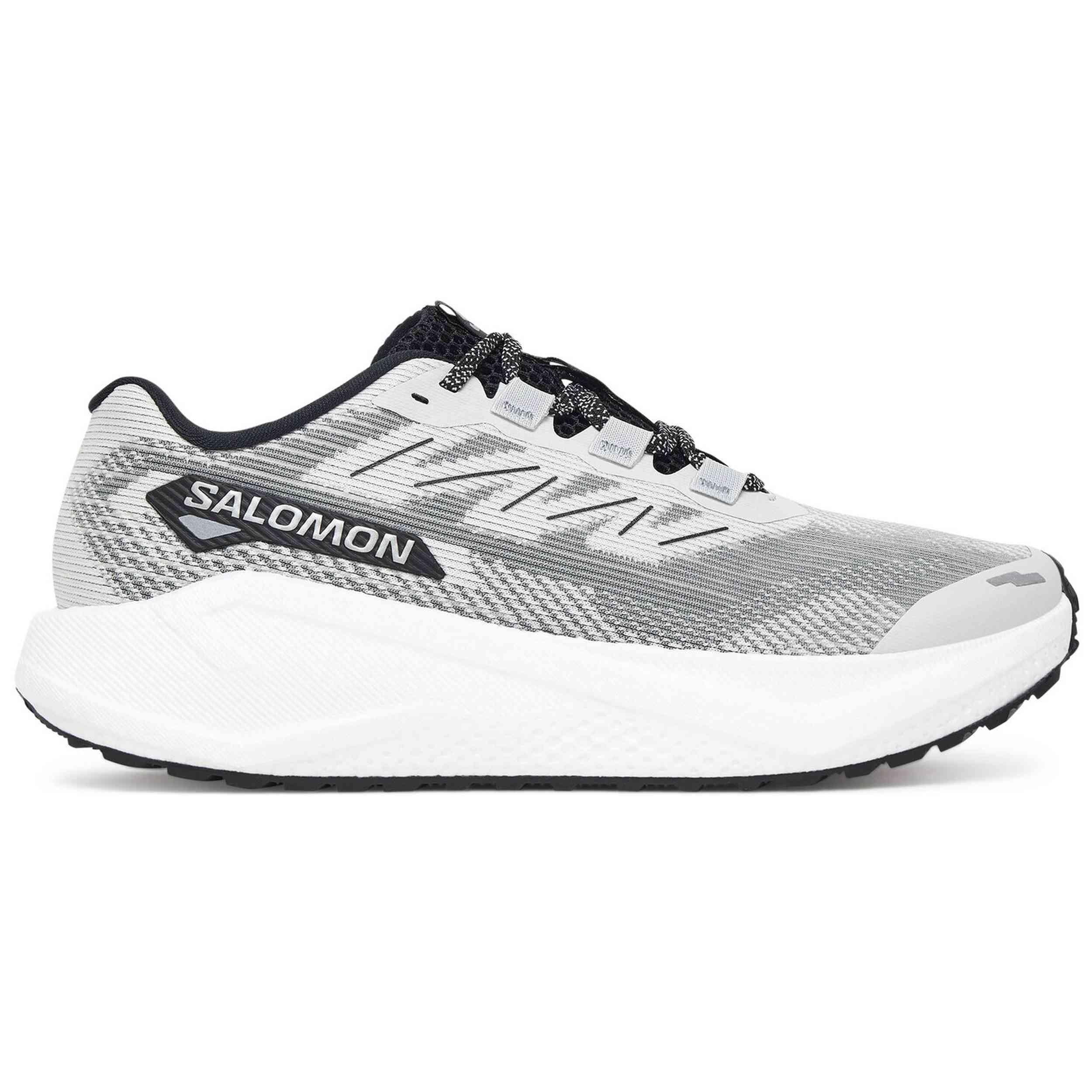 SALOMON picture