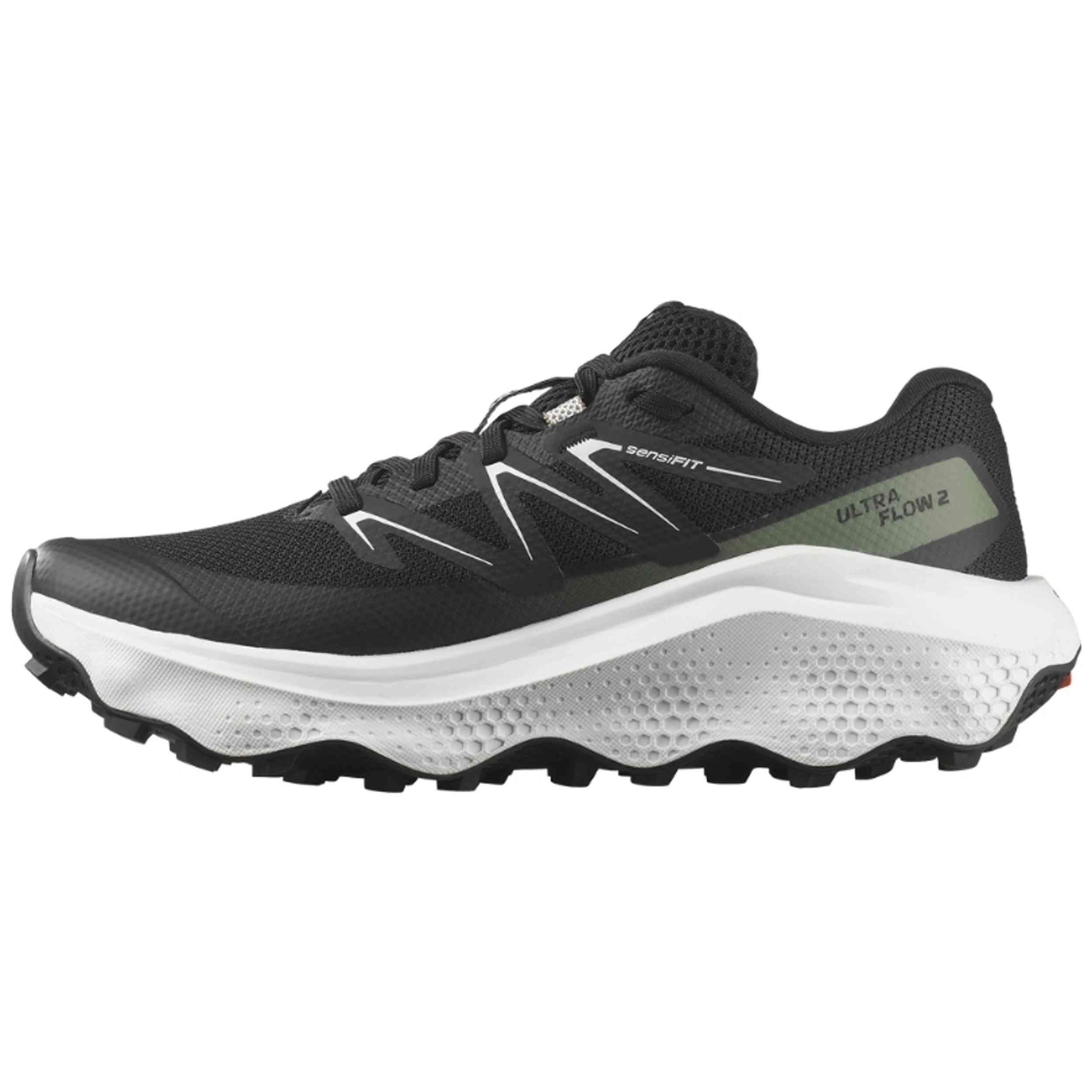 SALOMON picture
