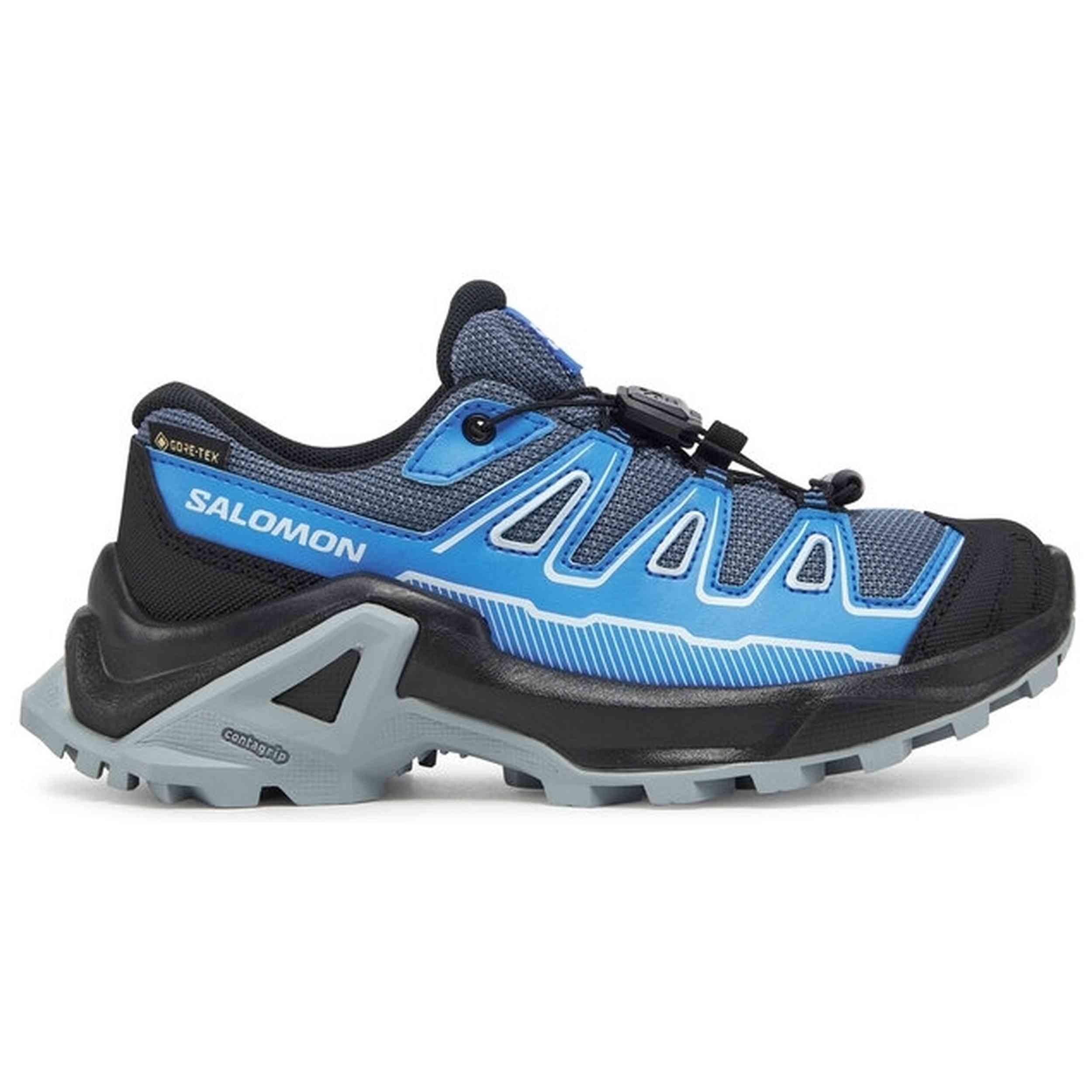 SALOMON picture