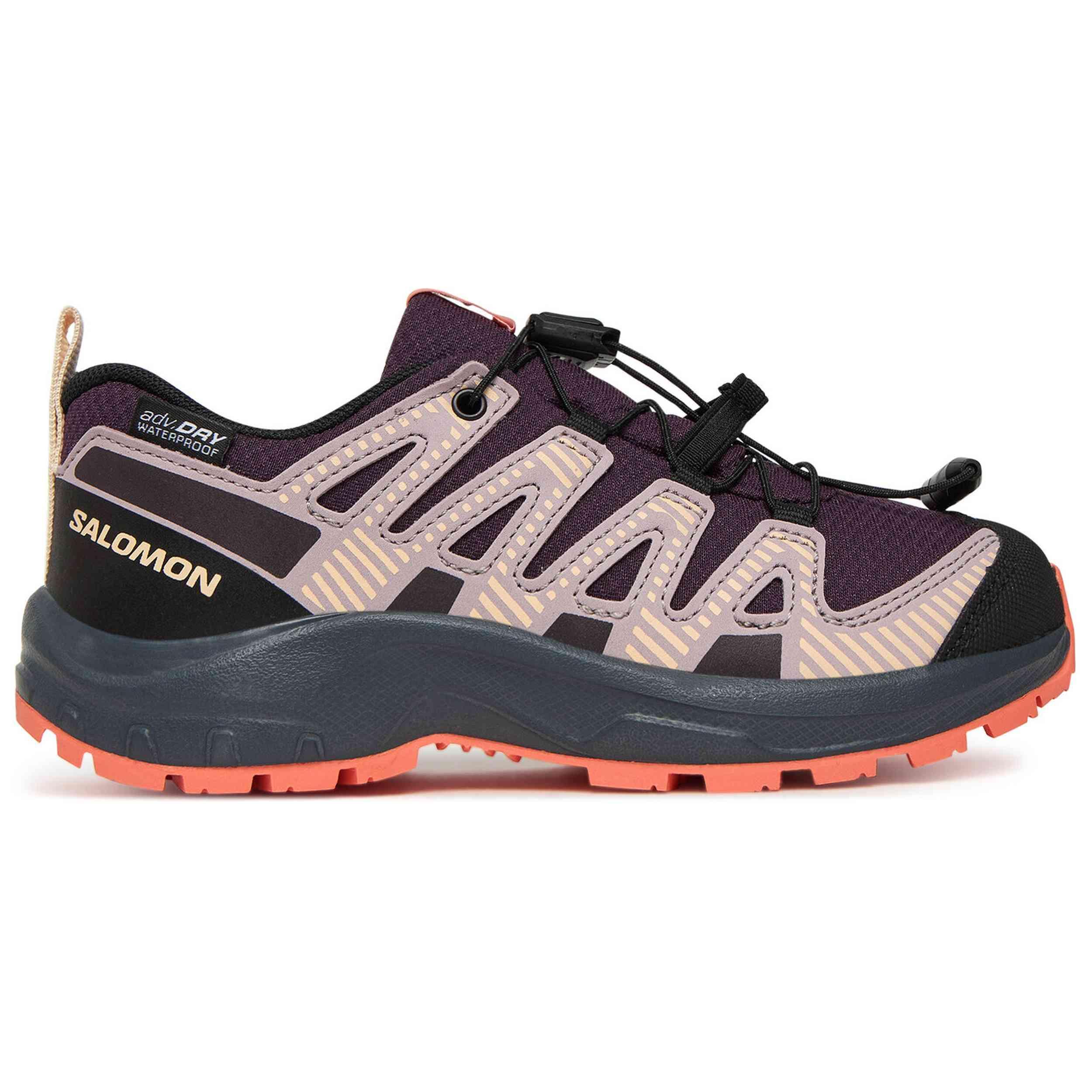 SALOMON picture