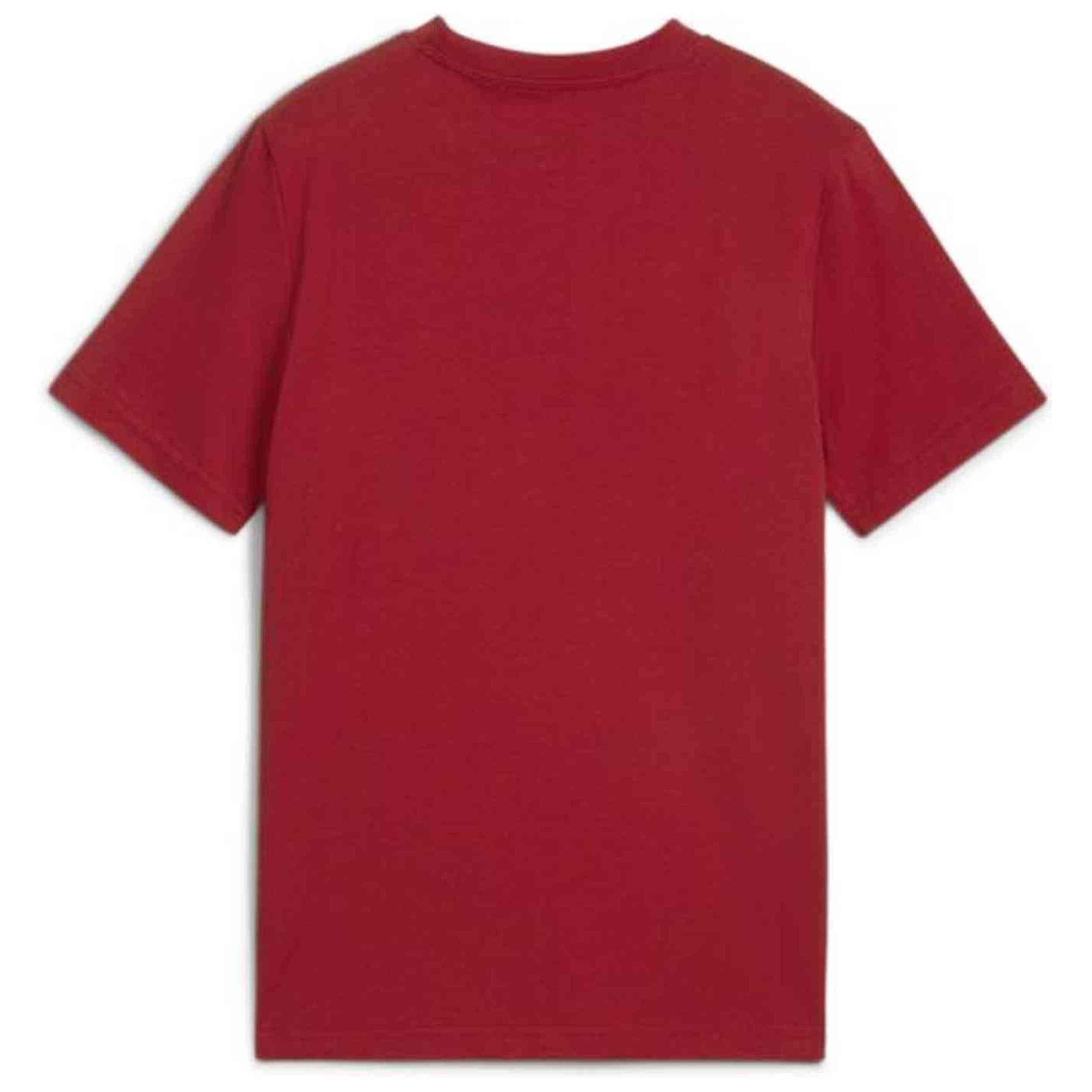 T-shirt Puma modèle 630822-13 pour enfants 2/2