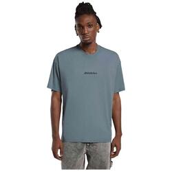 T-shirt Dickies modèle DK0A4YRNG701 pour homme