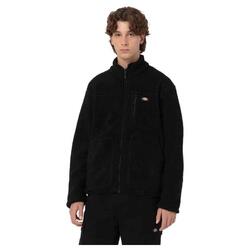 Sweat Dickies modèle DK0A4YEEBLK1 pour homme