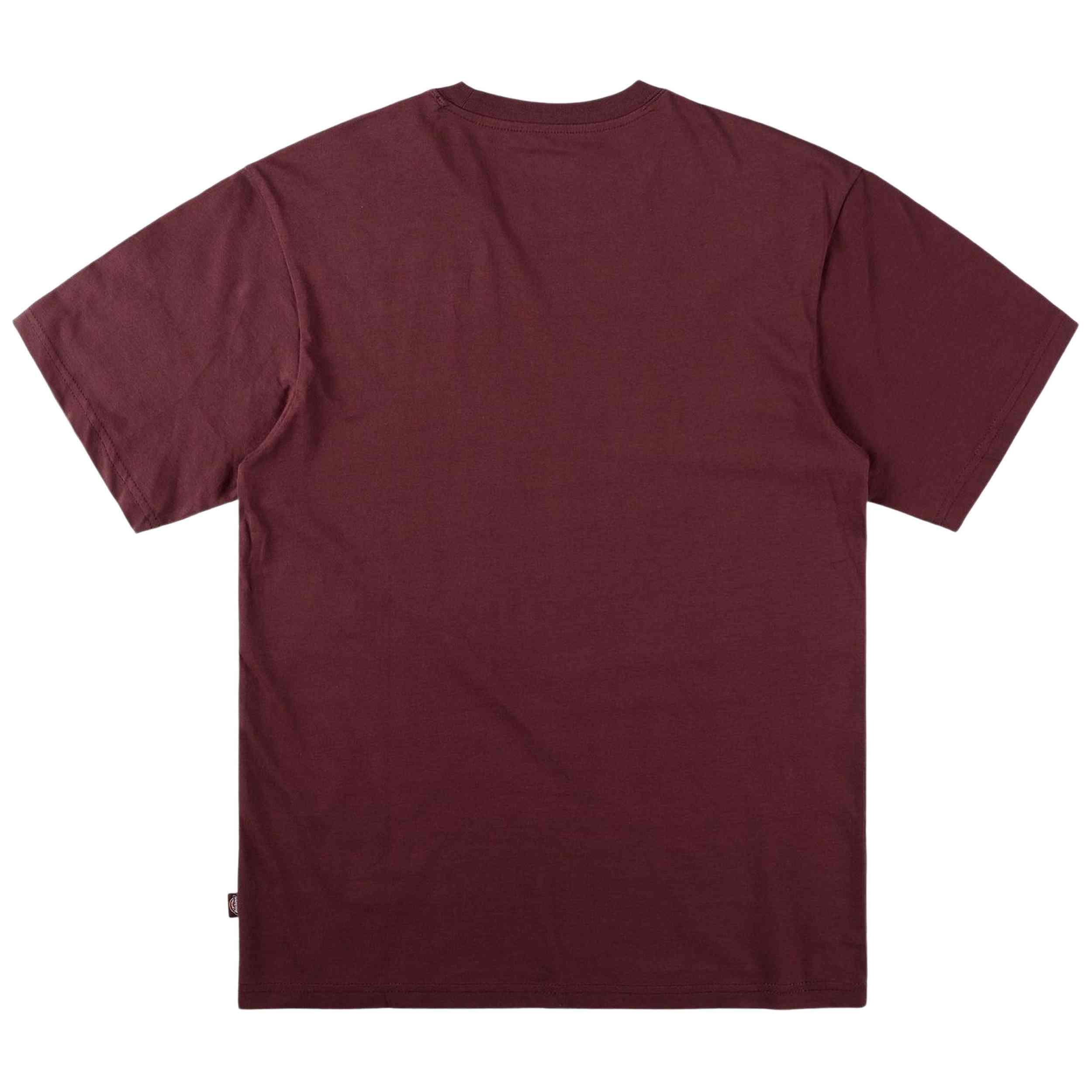 T-shirt Dickies modèle DK0A4XDBL161-2FW5 pour homme 2/5