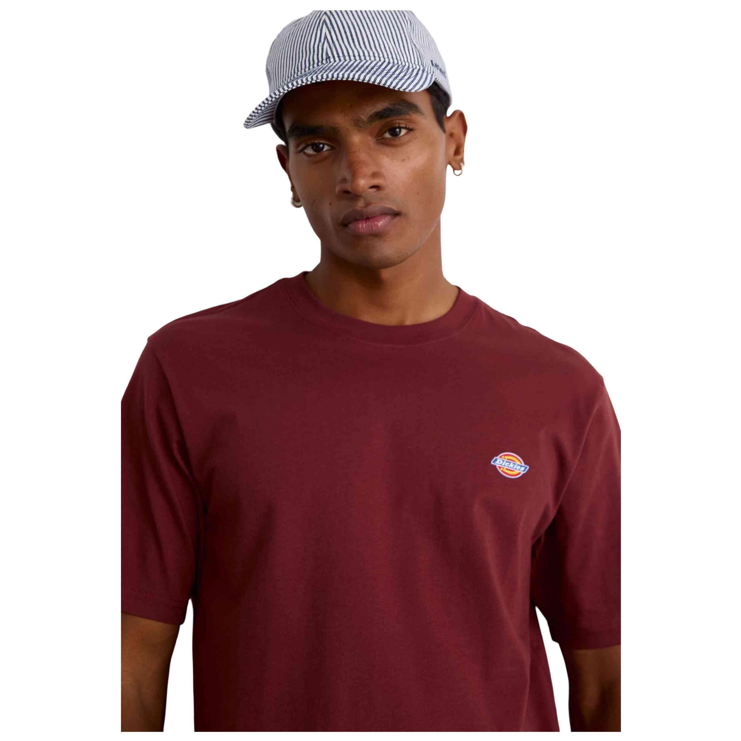 T-shirt Dickies modèle DK0A4XDBL161-2FW5 pour homme 5/5