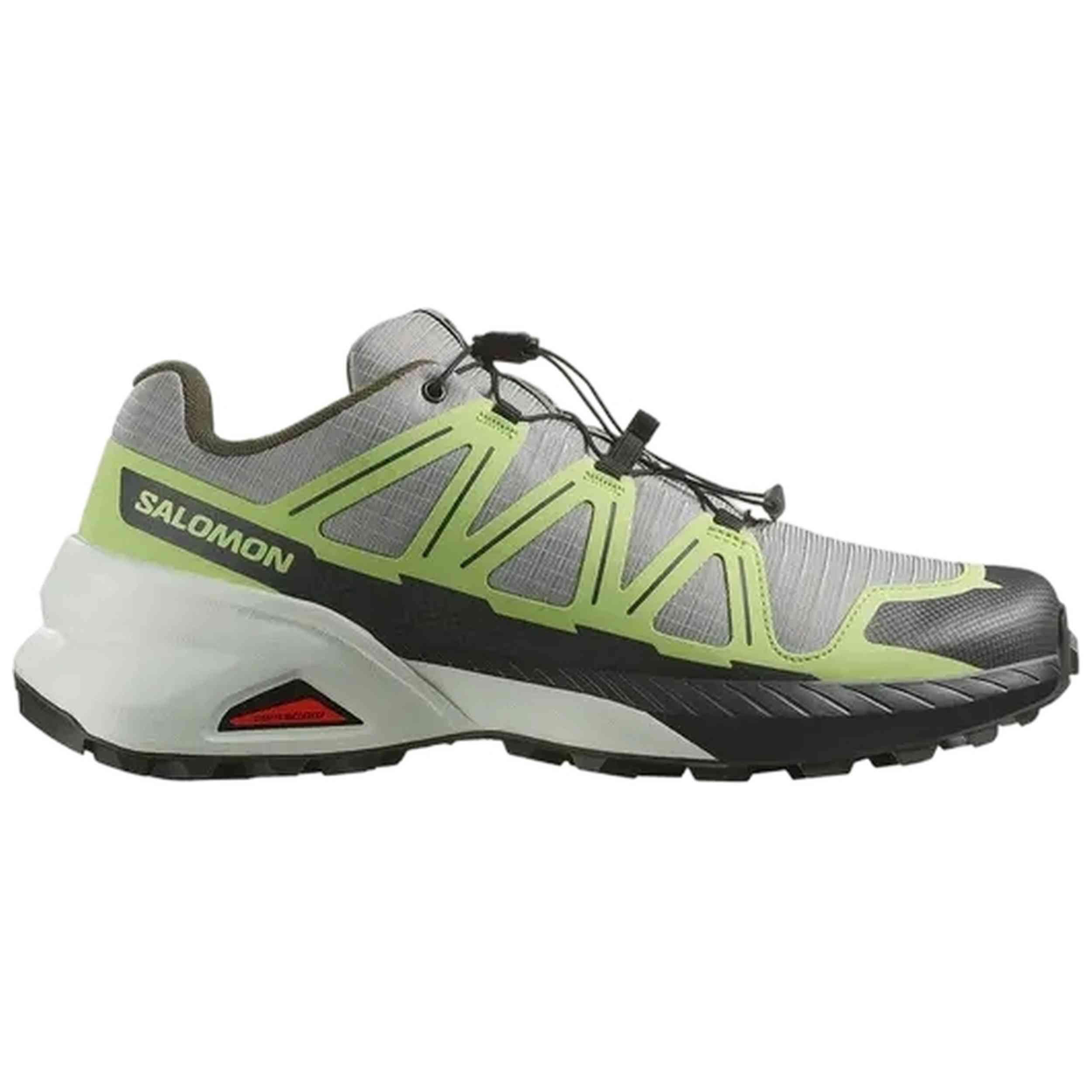 SALOMON picture