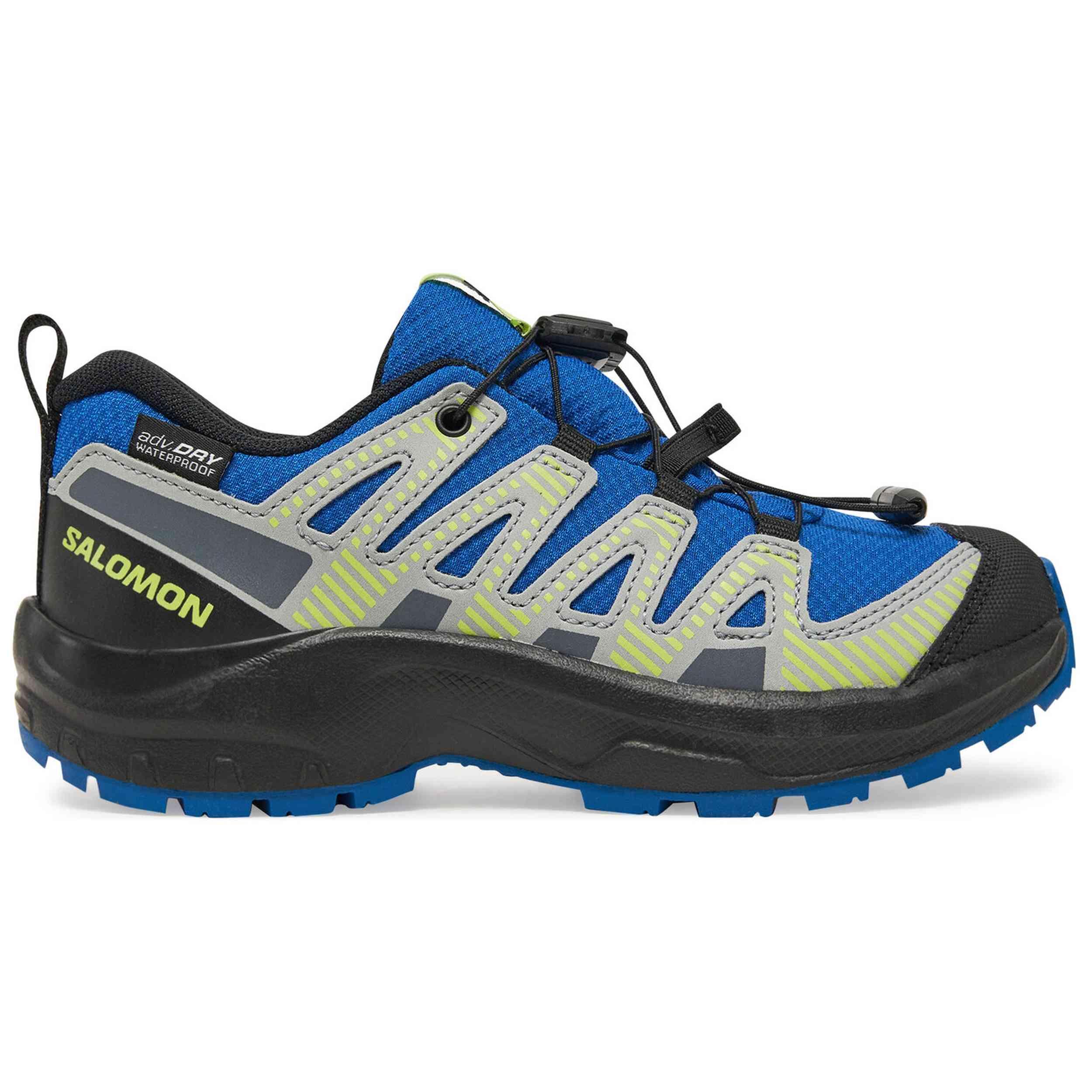 SALOMON picture