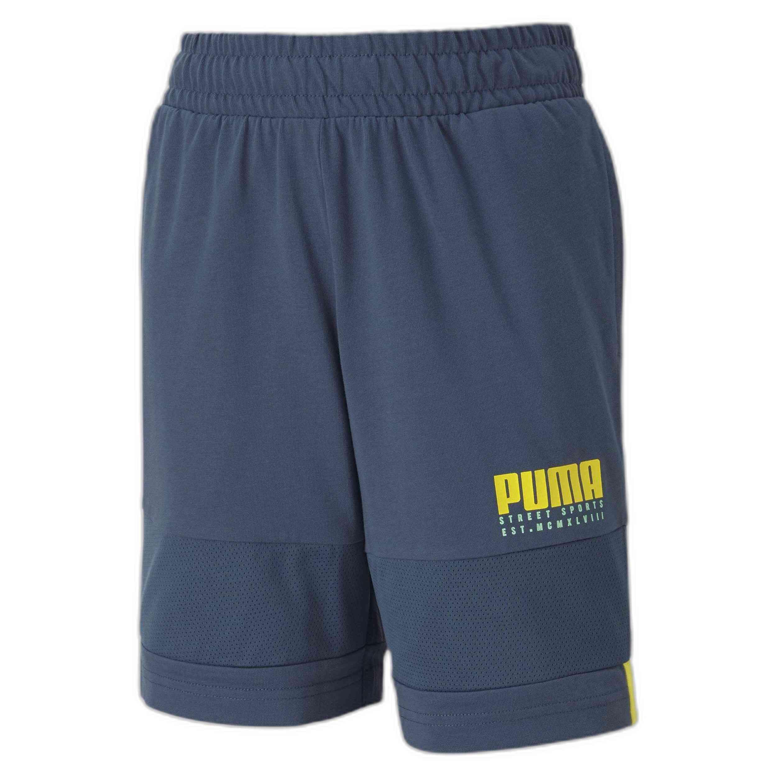 PUMA picture