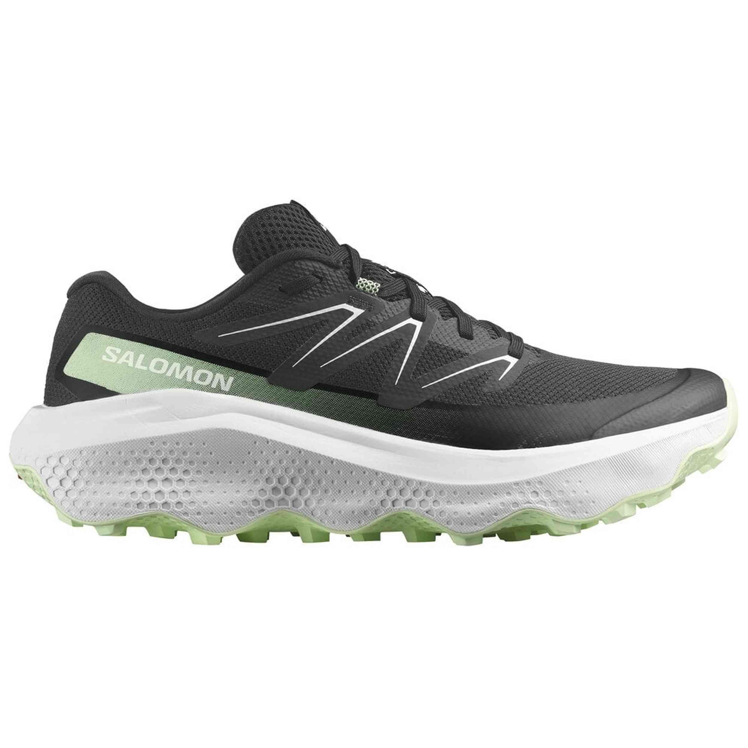 SALOMON picture