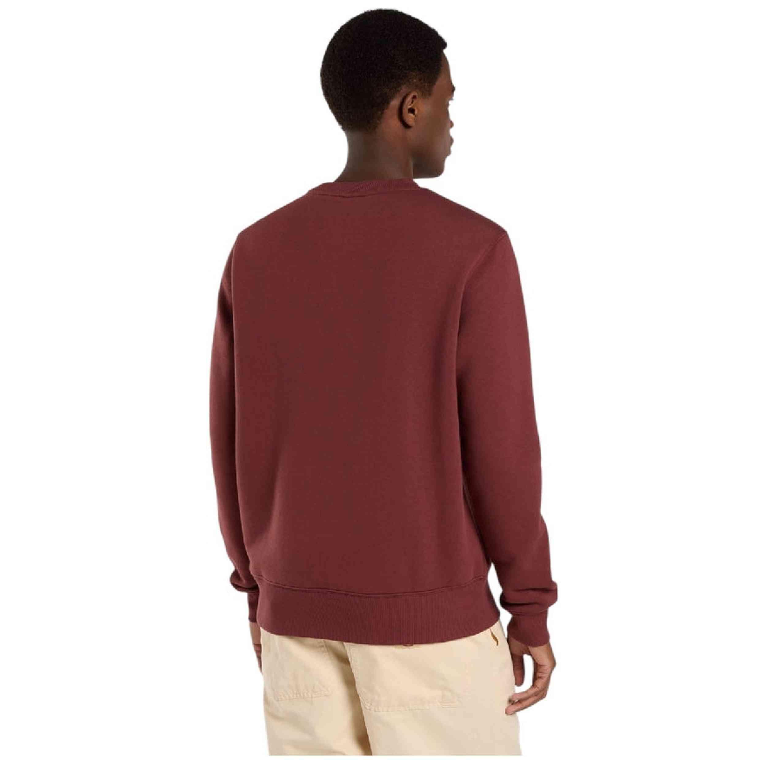 Sweat Dickies modèle DK0A4XCEL161 pour homme 4/4