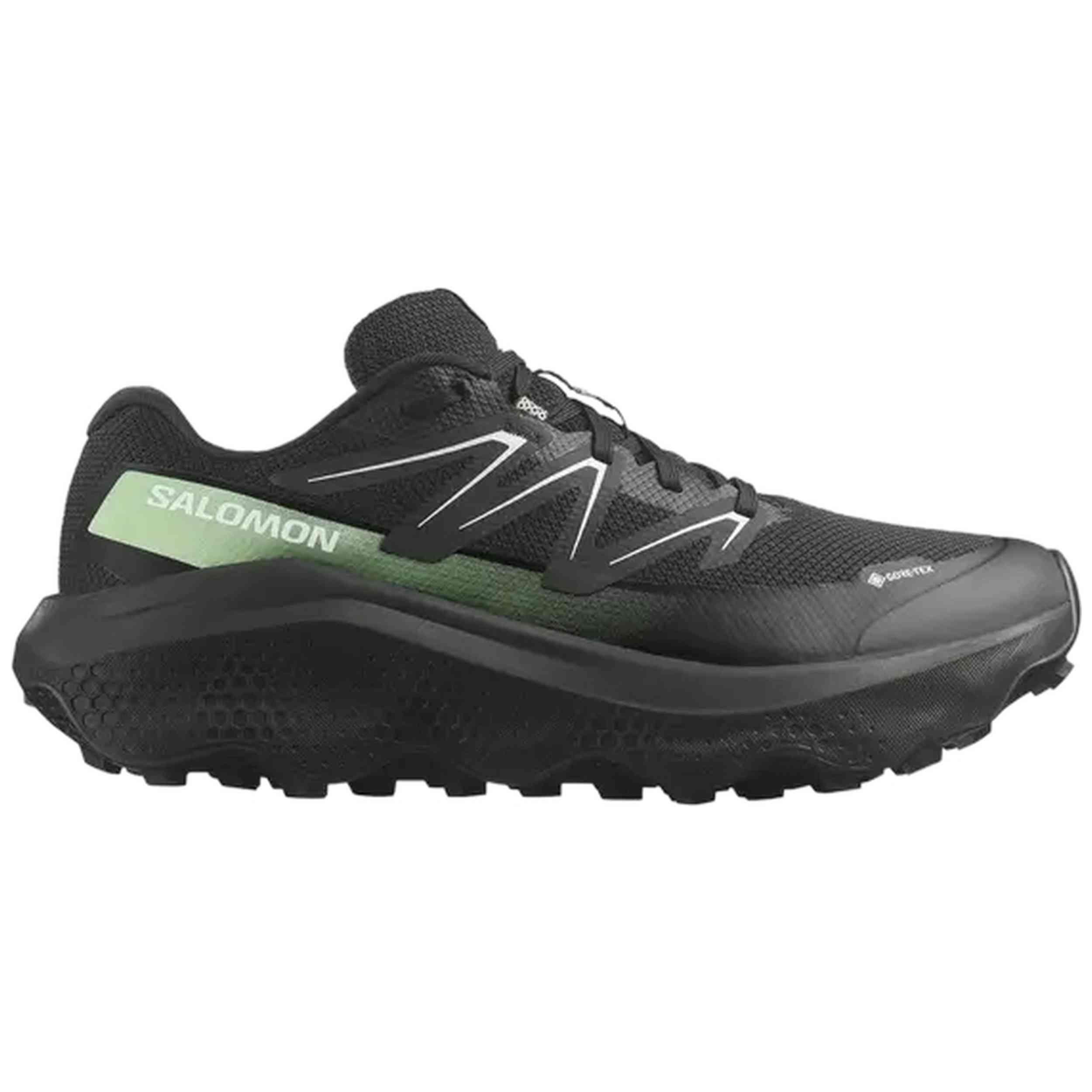 SALOMON picture