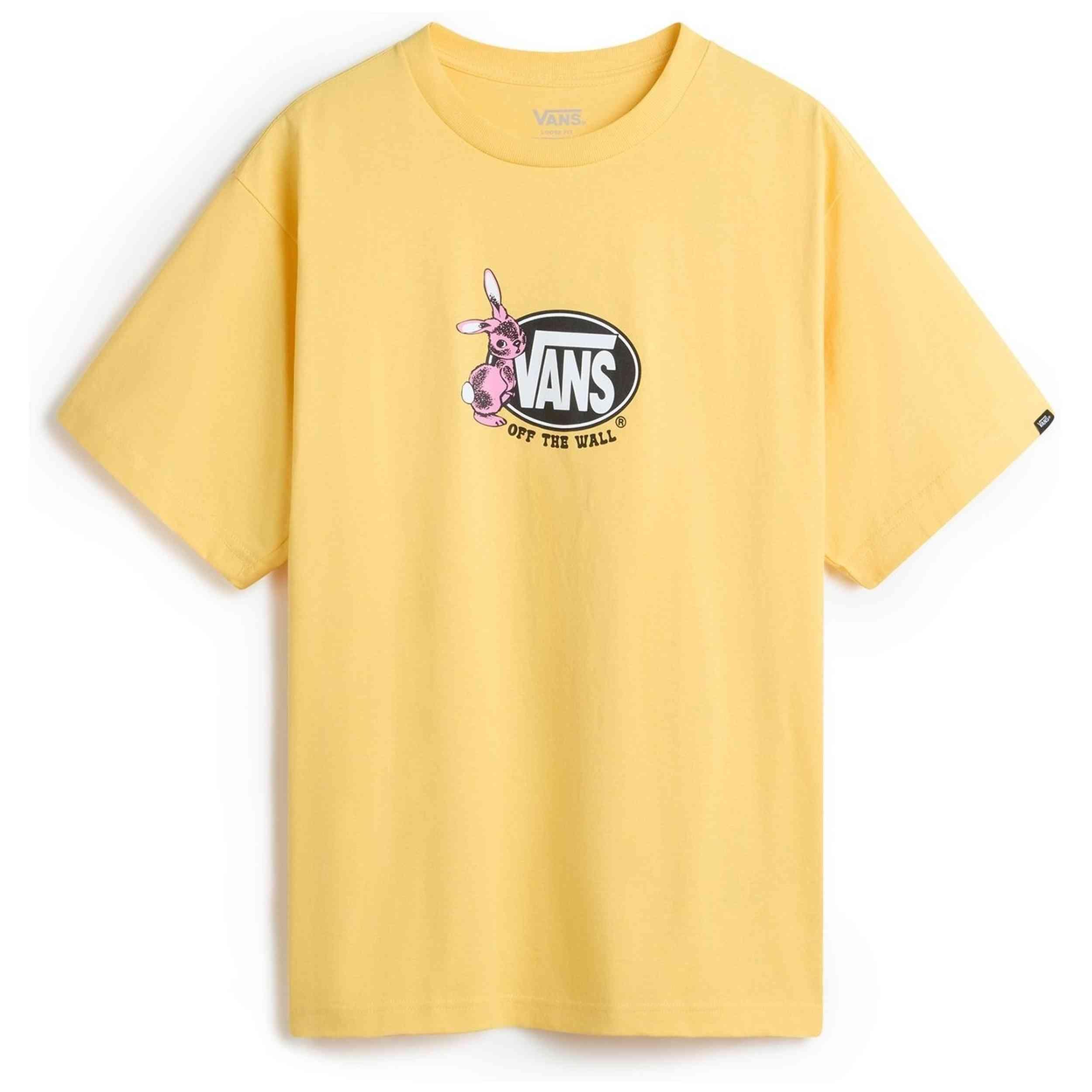 VANS picture