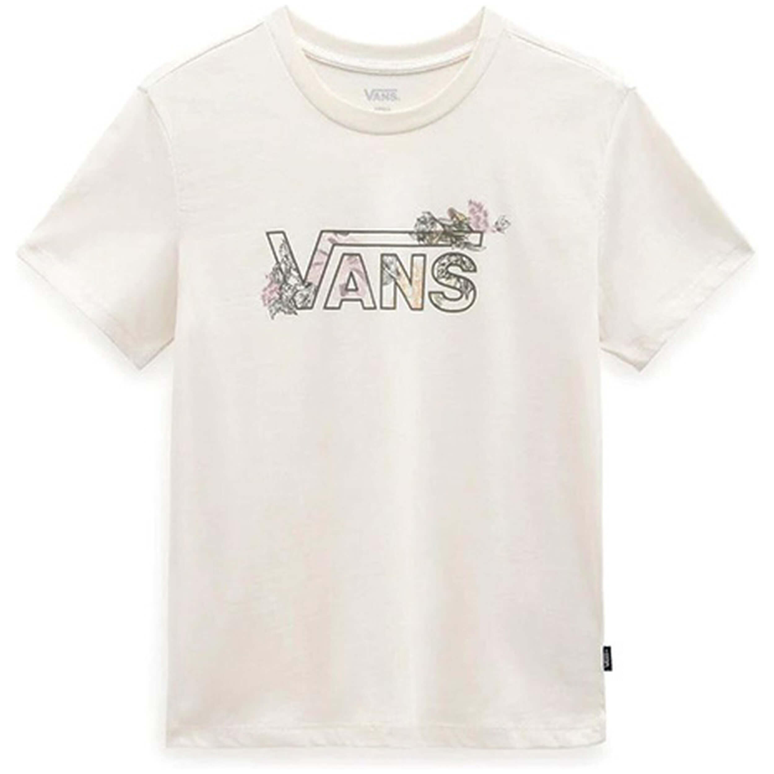 VANS picture