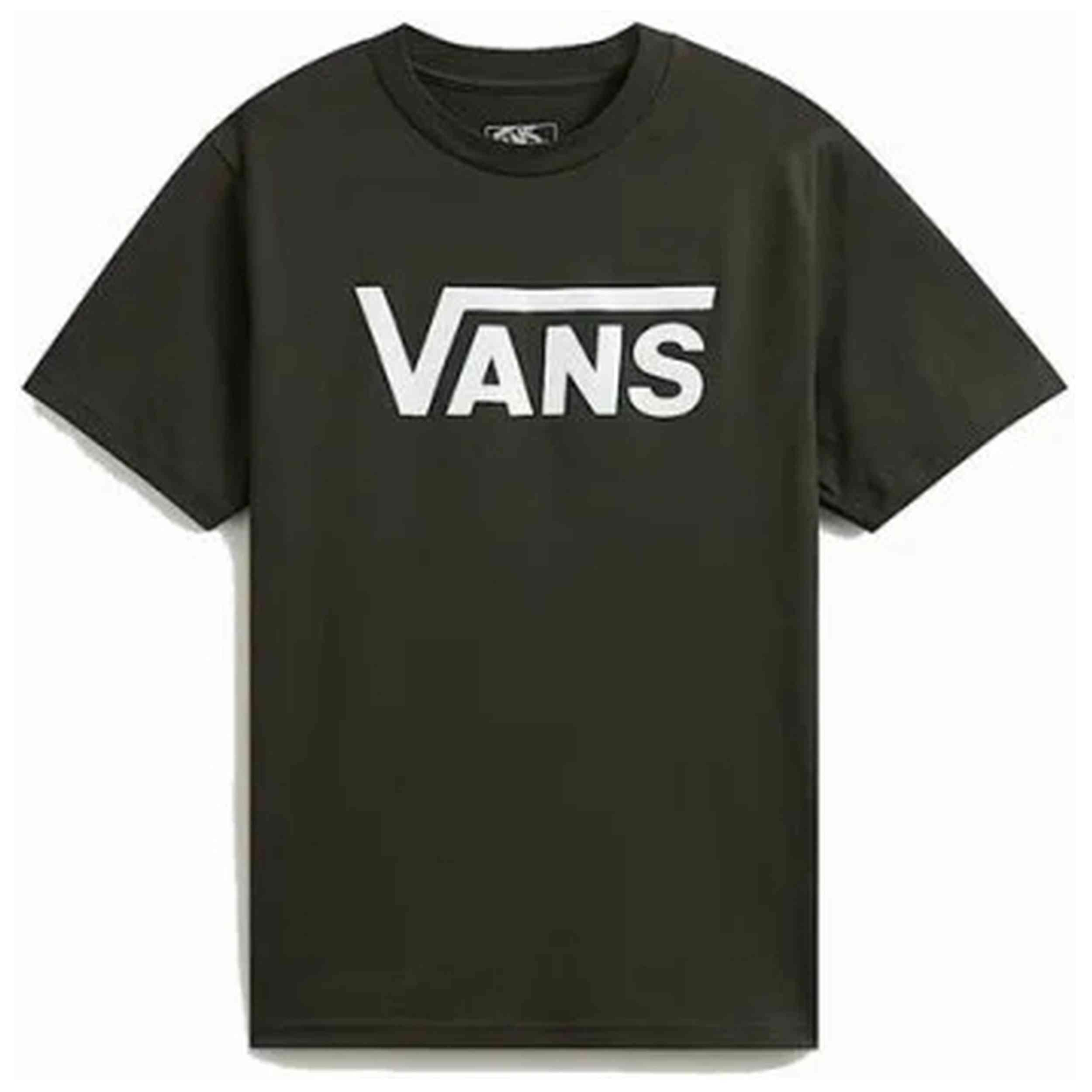 VANS picture