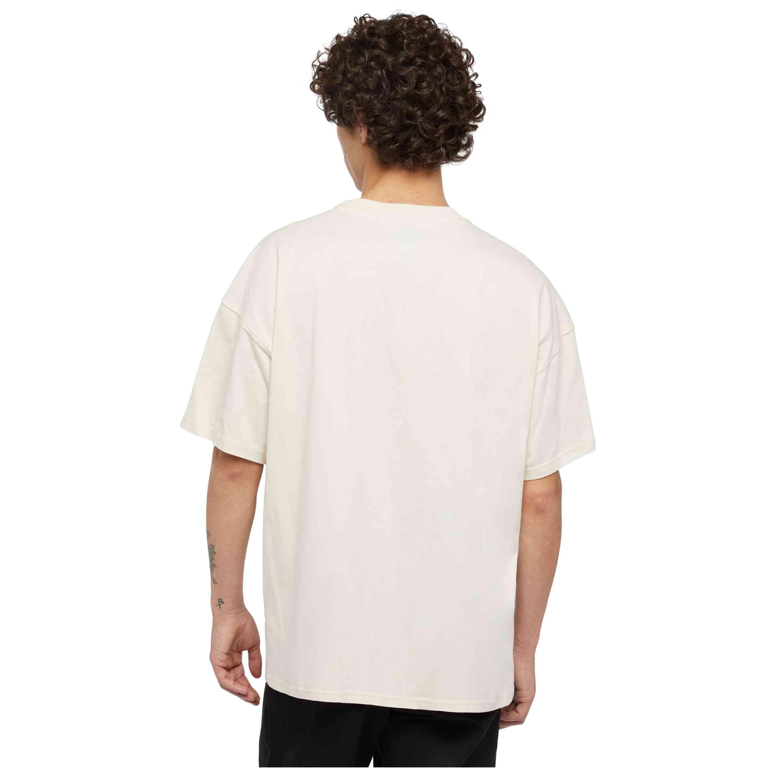 T-shirt met korte mouwen Dickies model DK0A4YRNF901 voor mannen 3/5