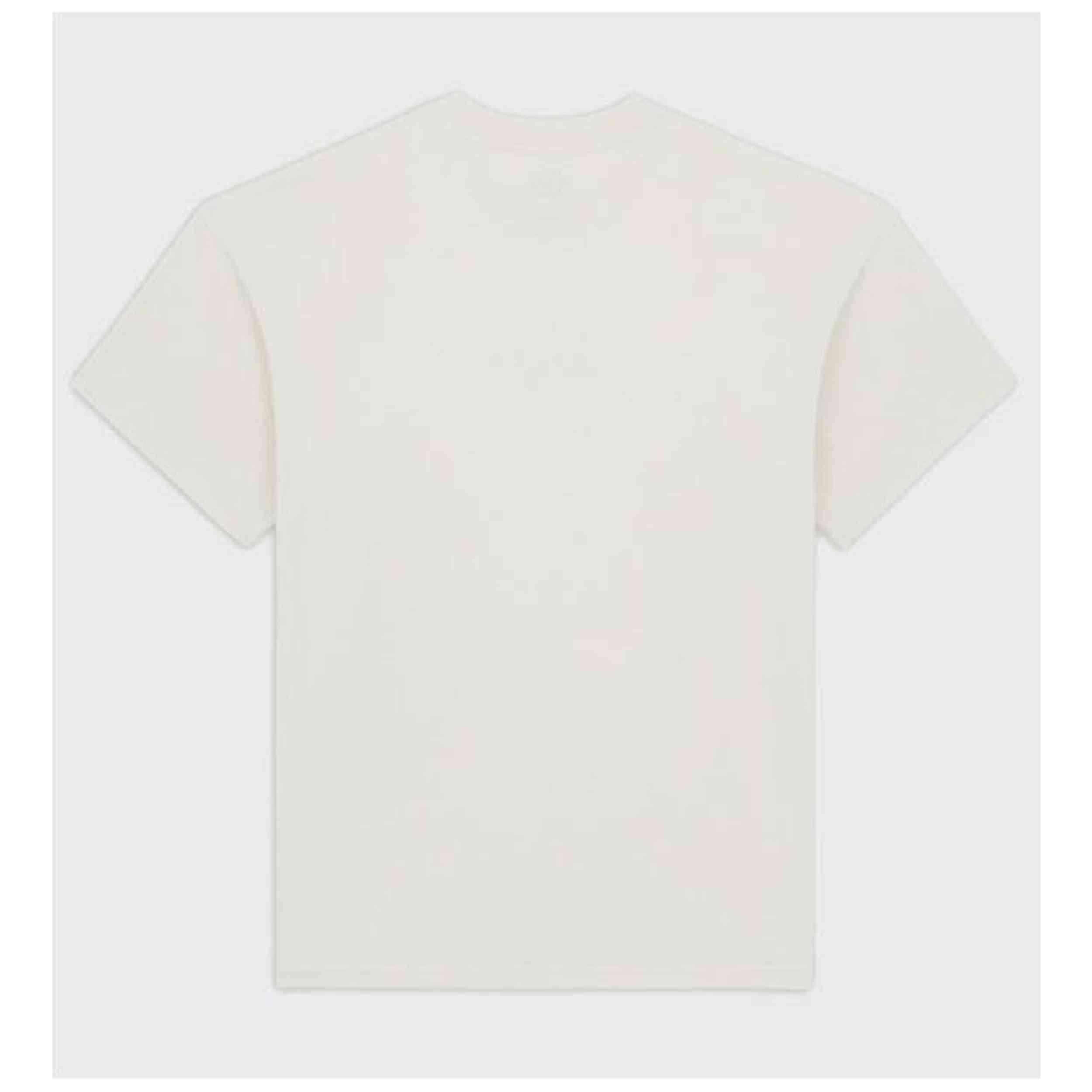 T-shirt met korte mouwen Dickies model DK0A4YRNF901 voor mannen 2/5