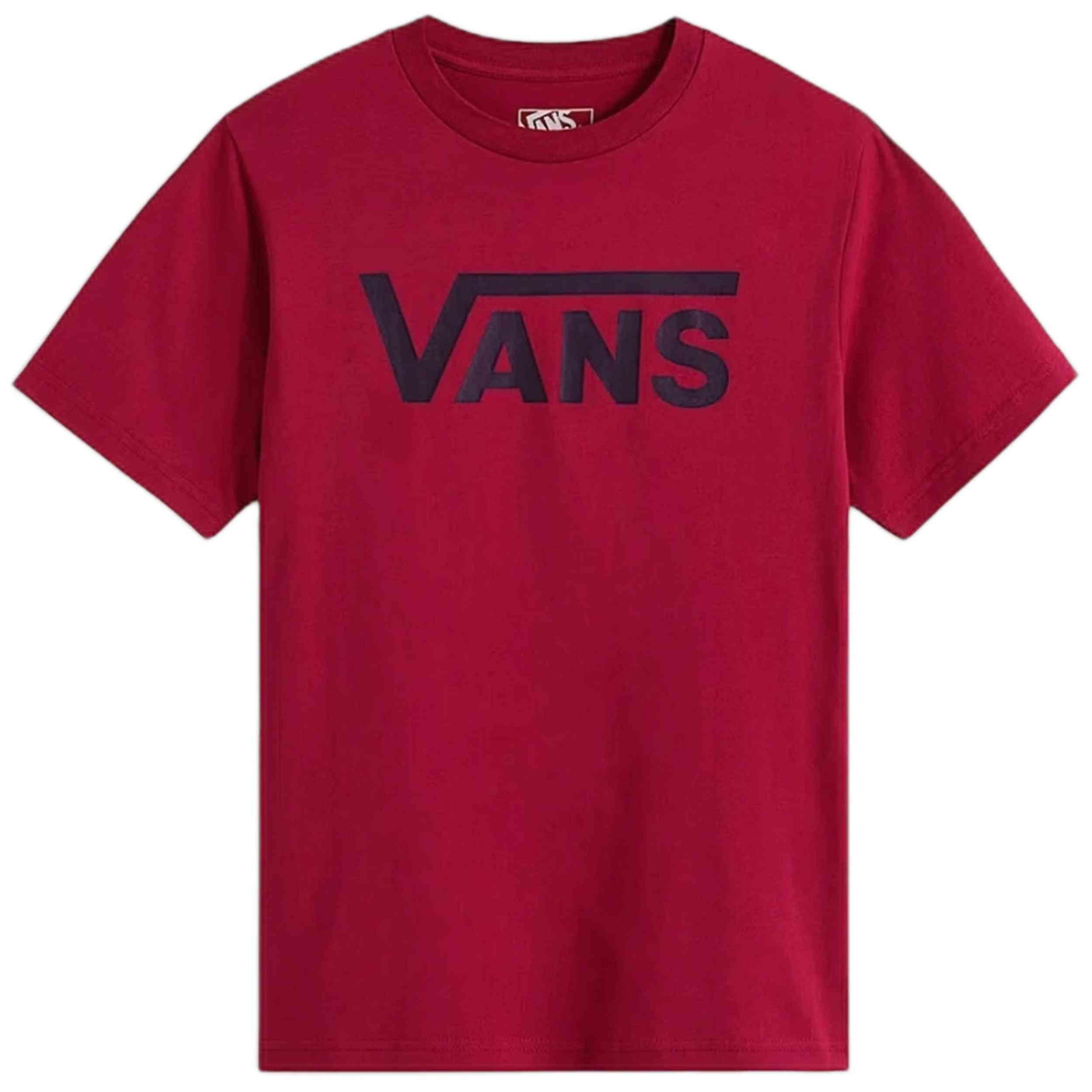 VANS picture