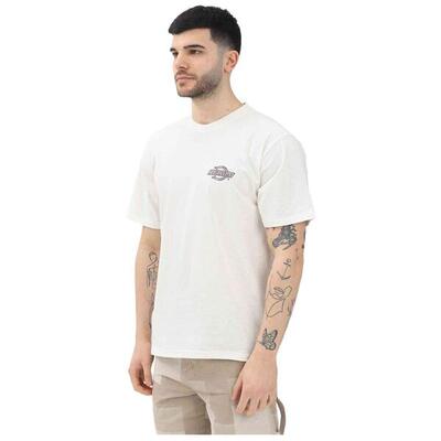 T-shirt met korte mouwen dickies model dk0a4zatc481 voor mannen