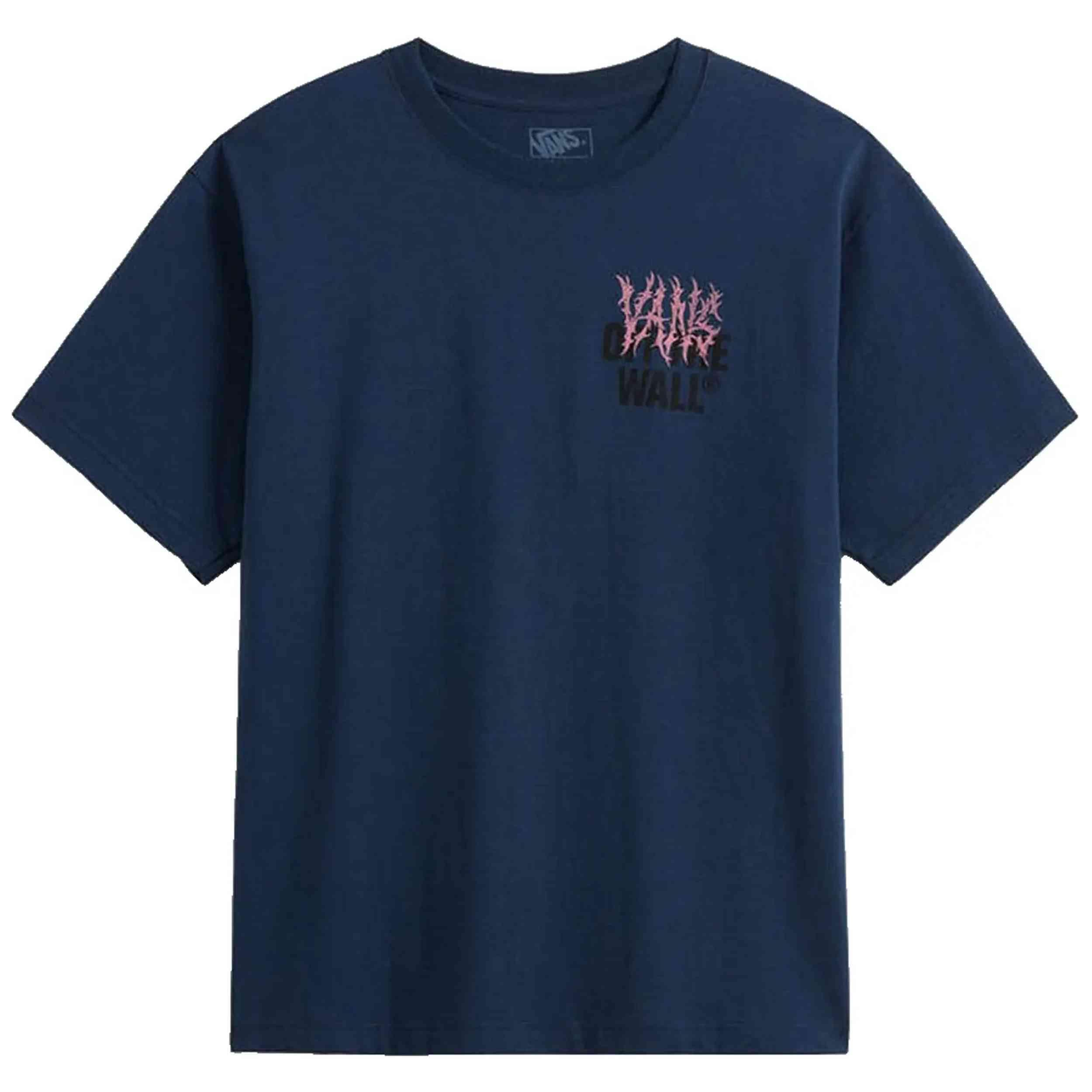 VANS picture