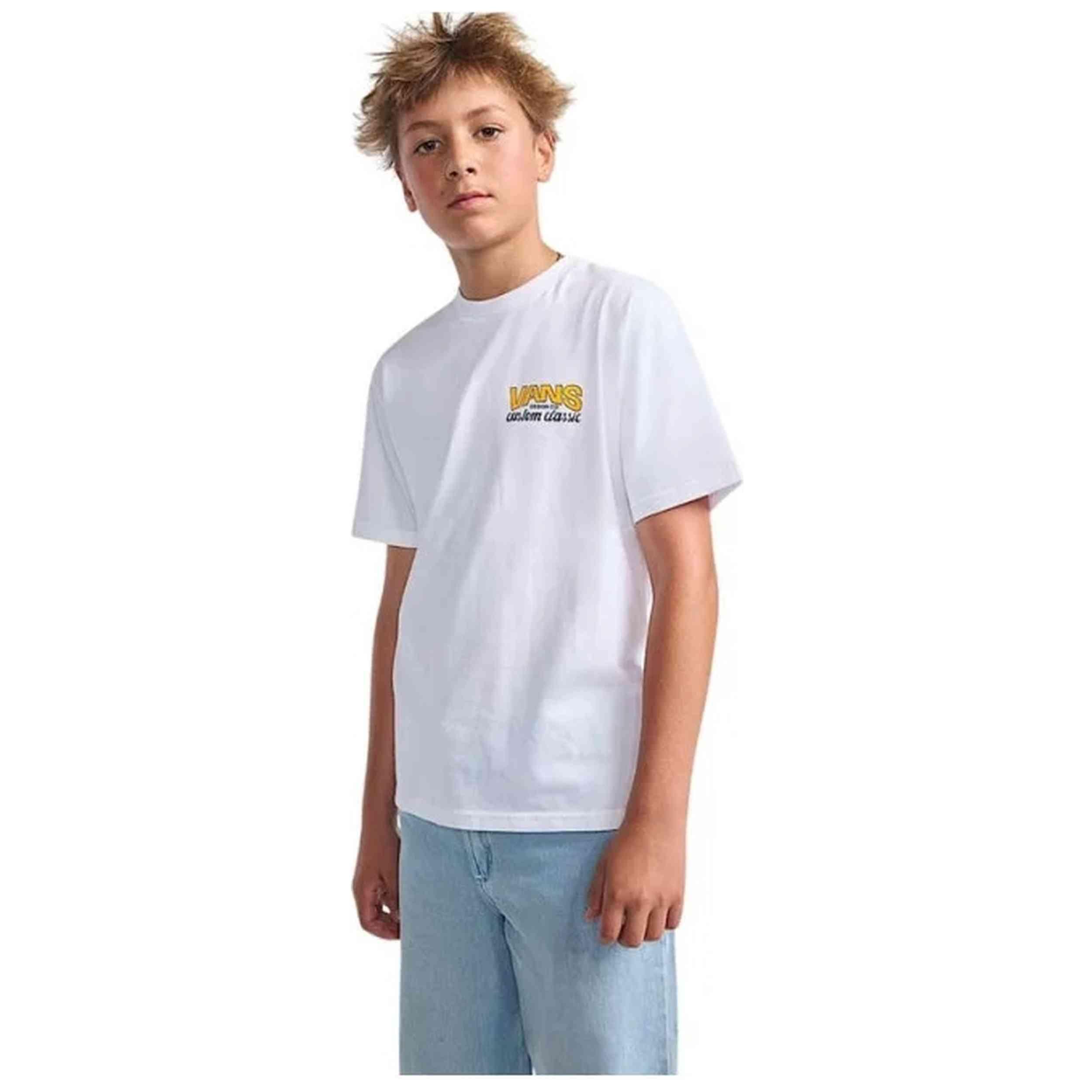VANS picture