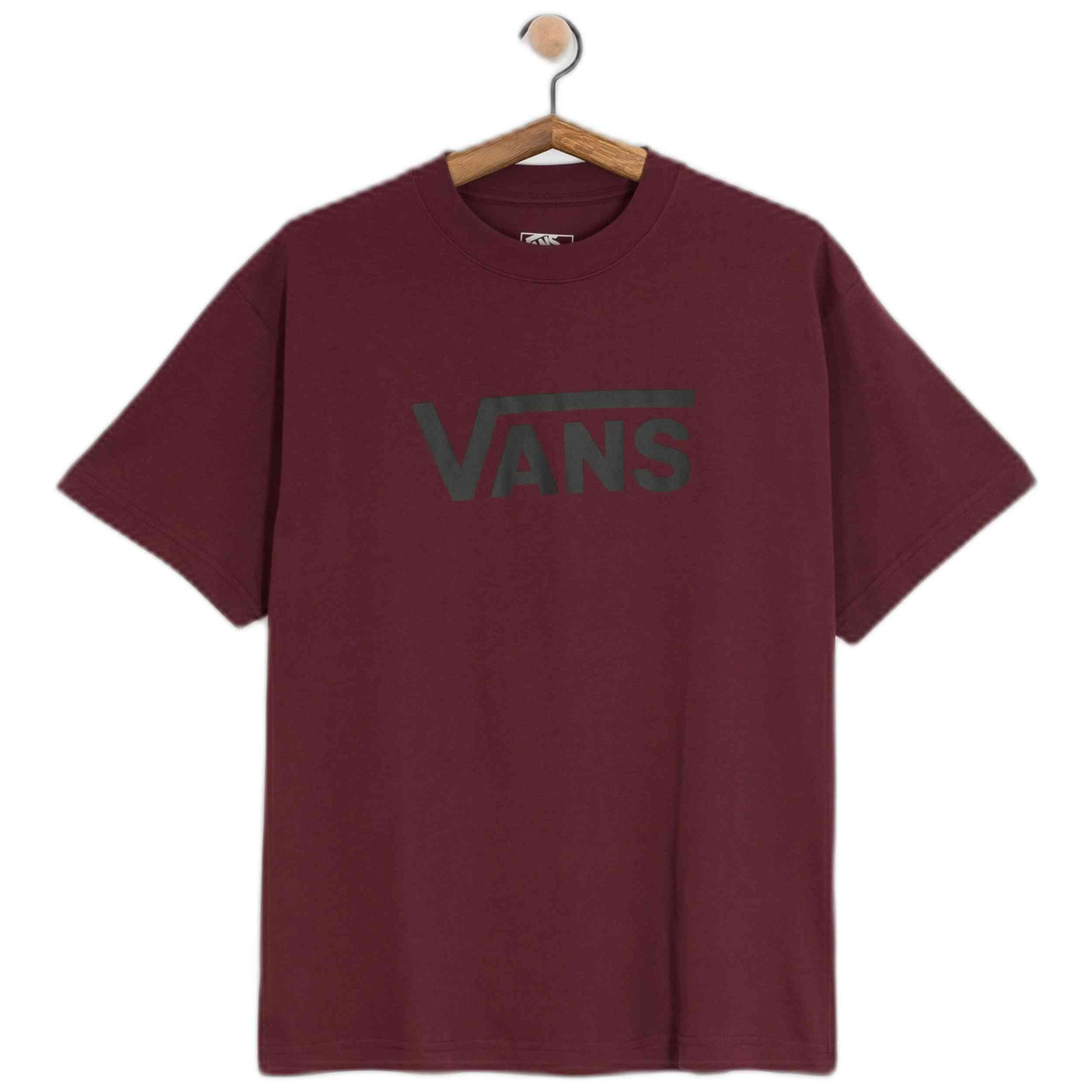 VANS picture