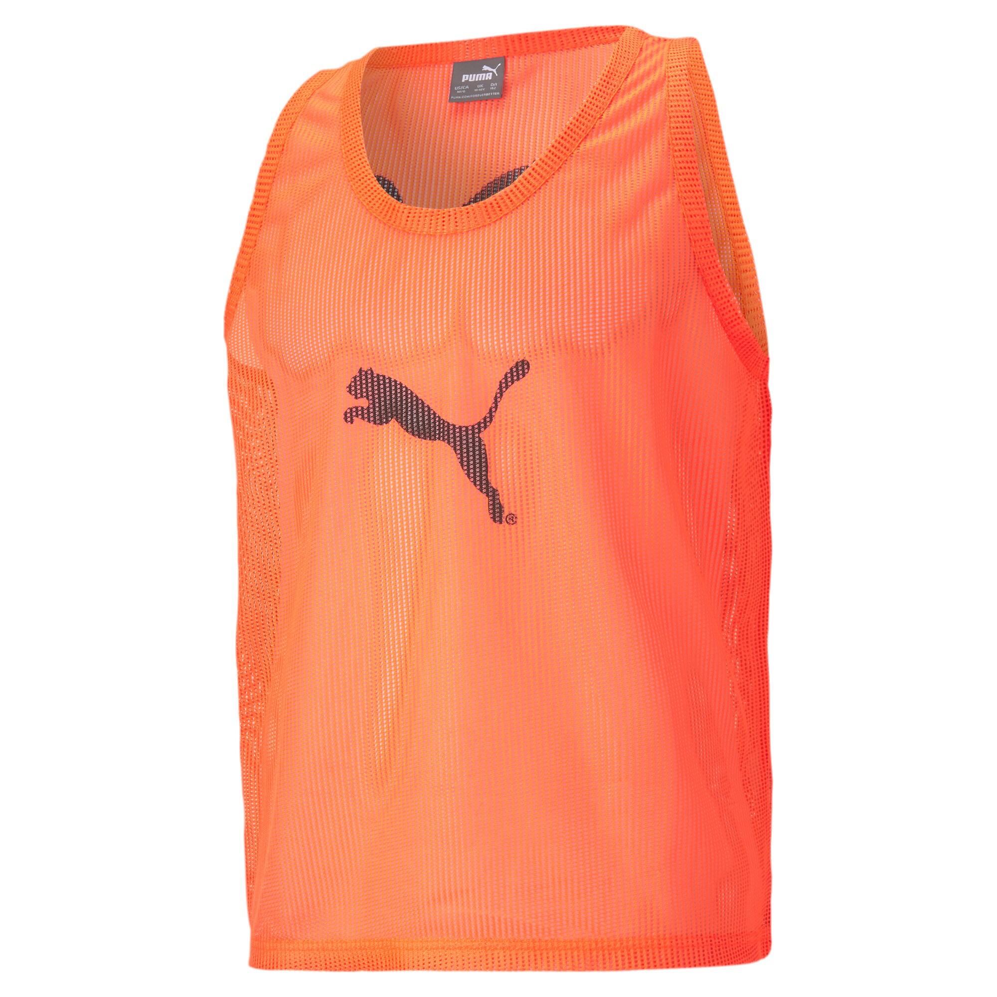 PUMA picture