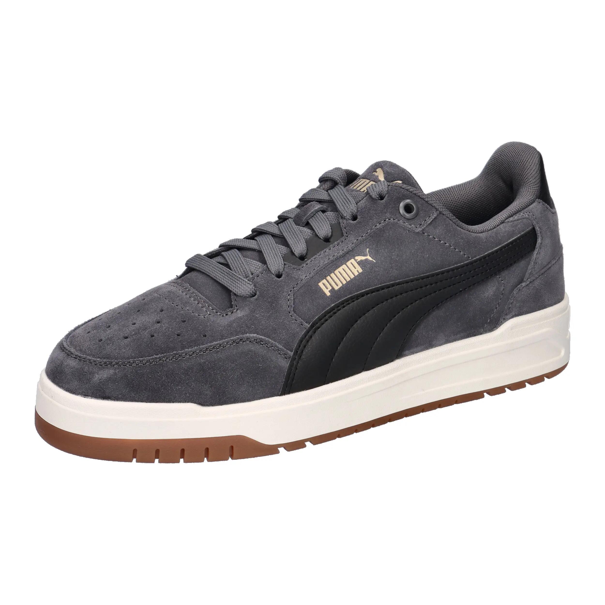 PUMA picture