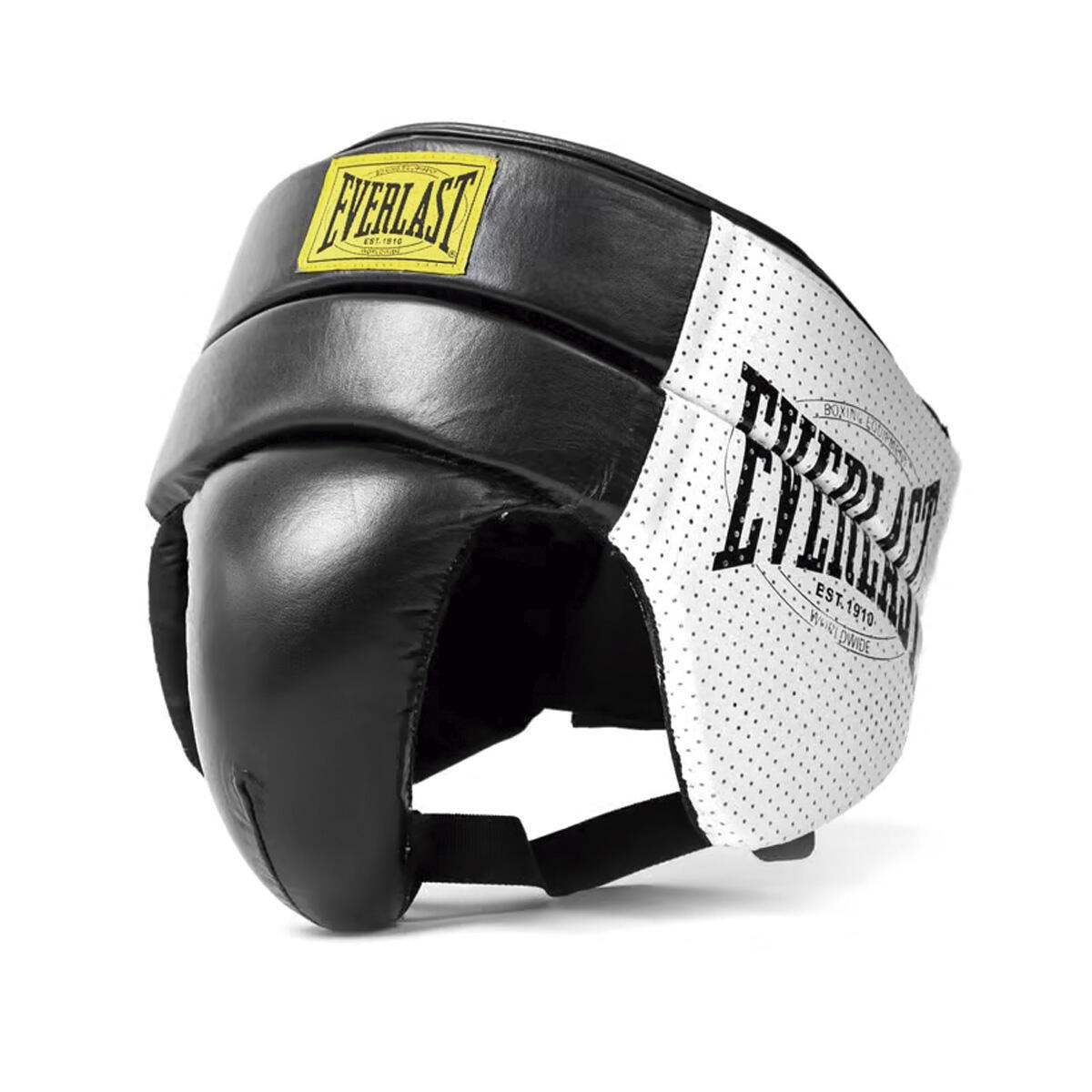 EVERLAST picture