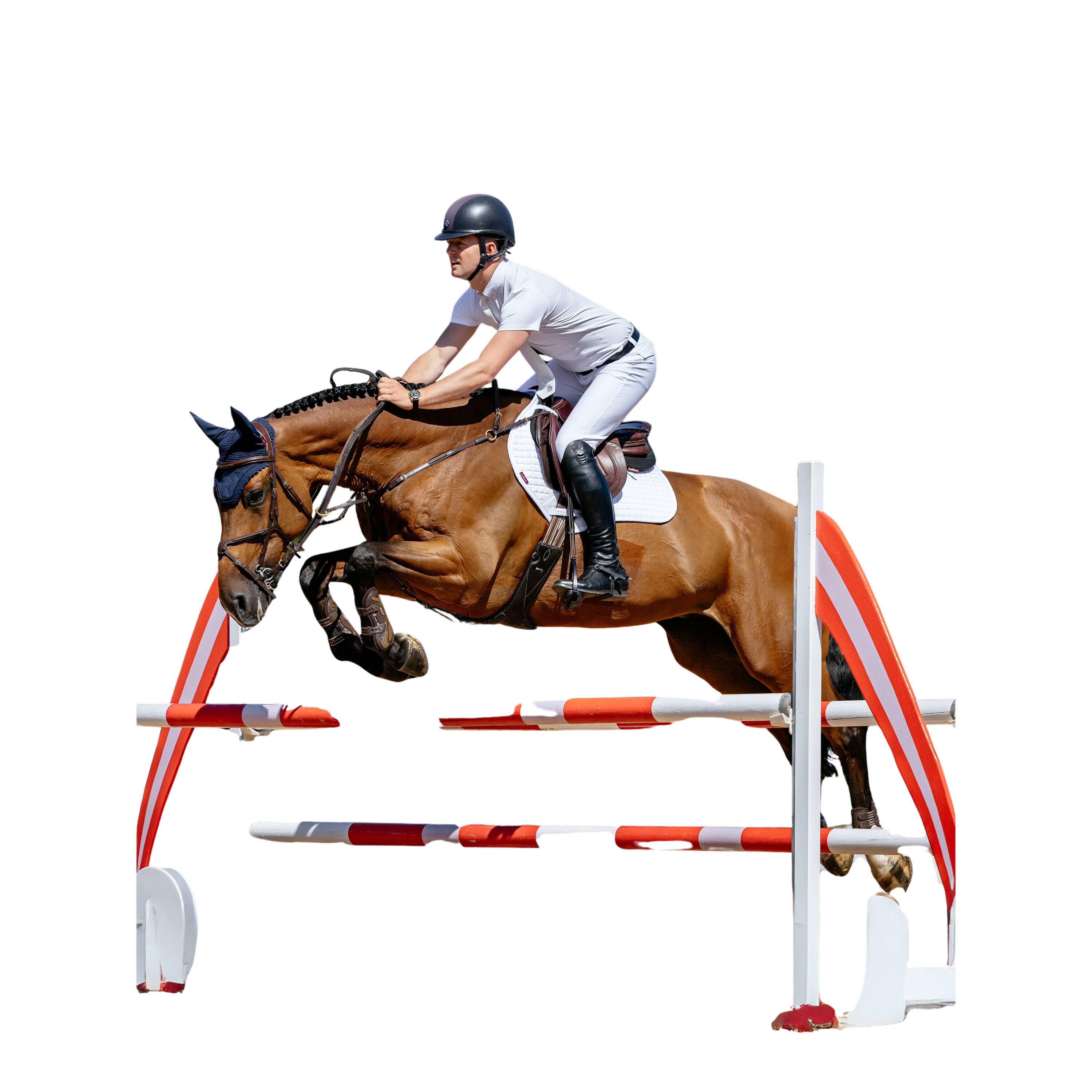 Tapis de CSO LeMieux Close Contact 2/7