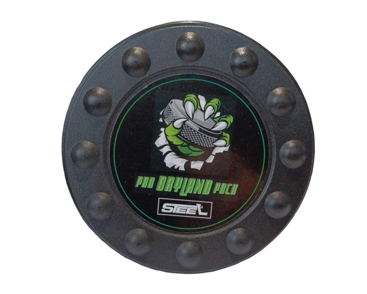 Puck STEEL Dryland Trockentraining 2/3