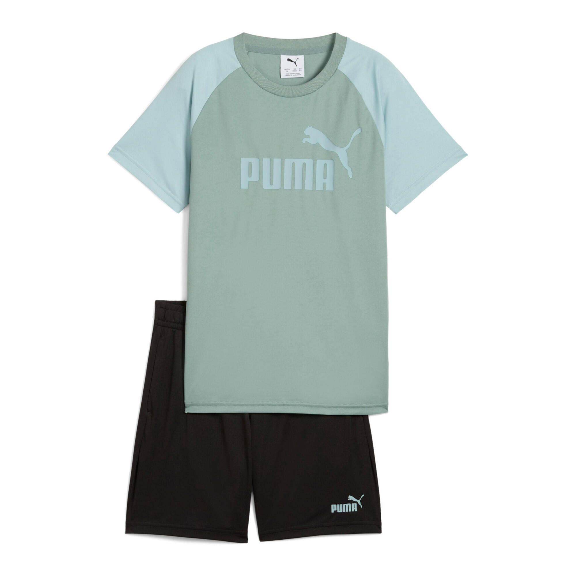verde / turchese / bianco
