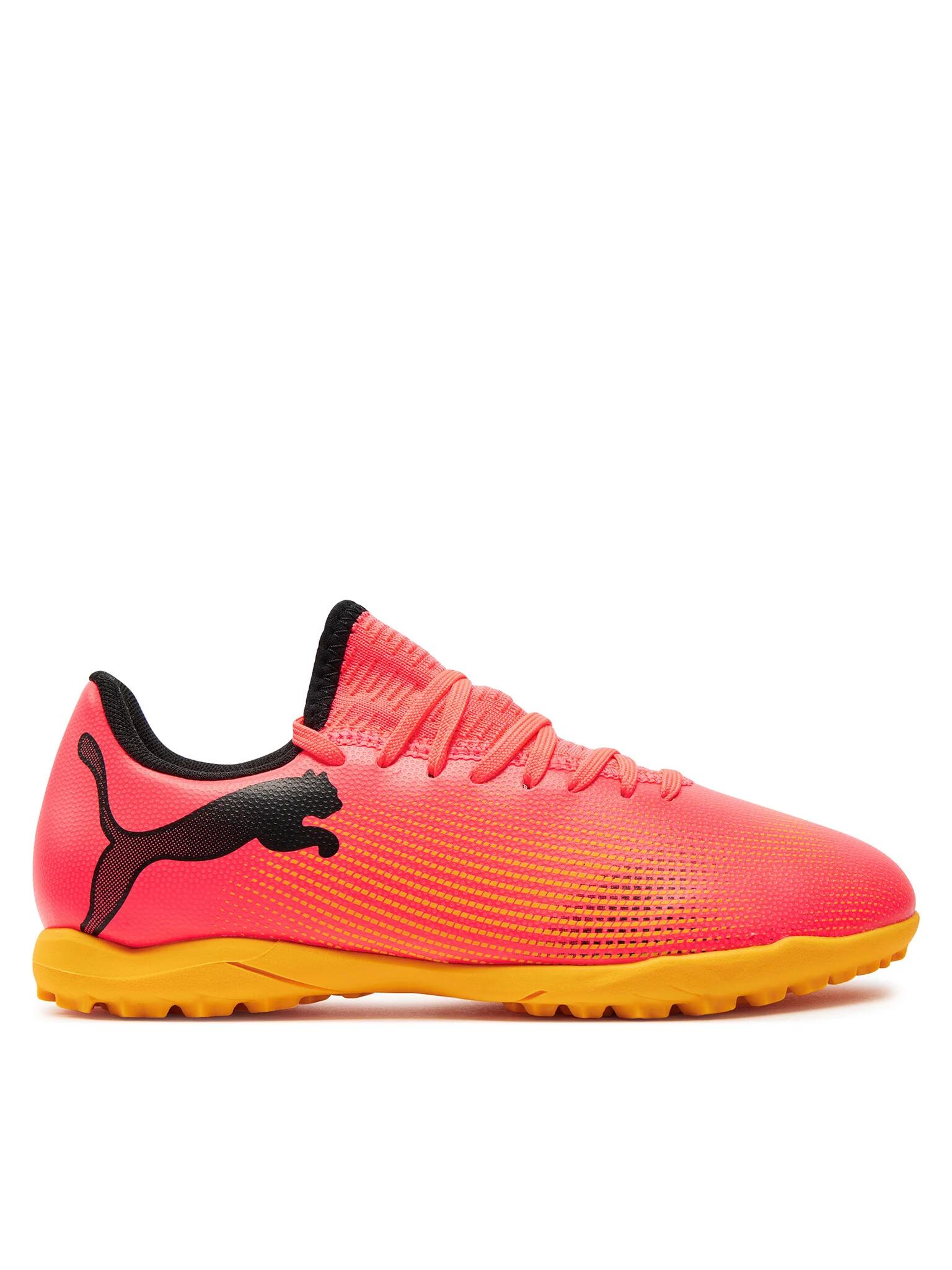 PUMA picture
