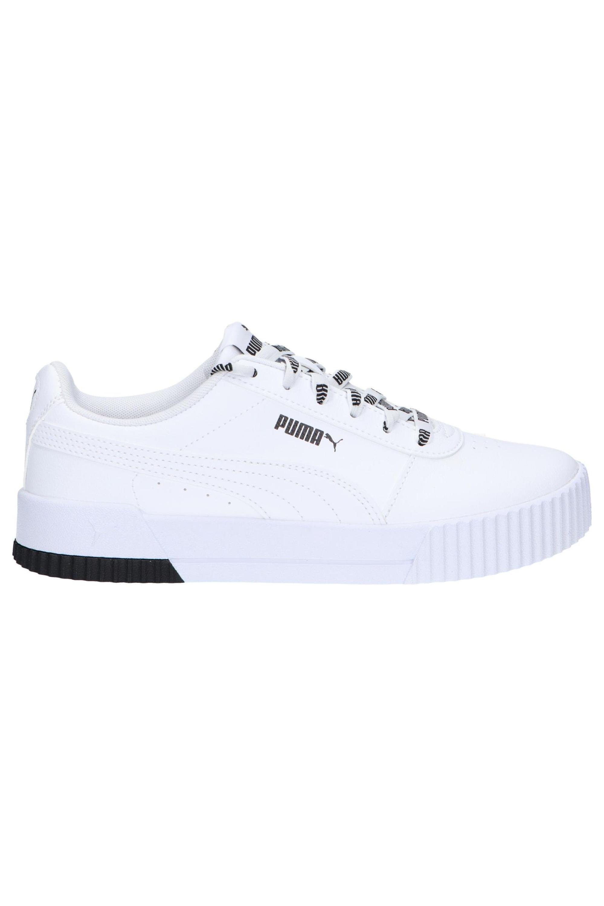 PUMA picture