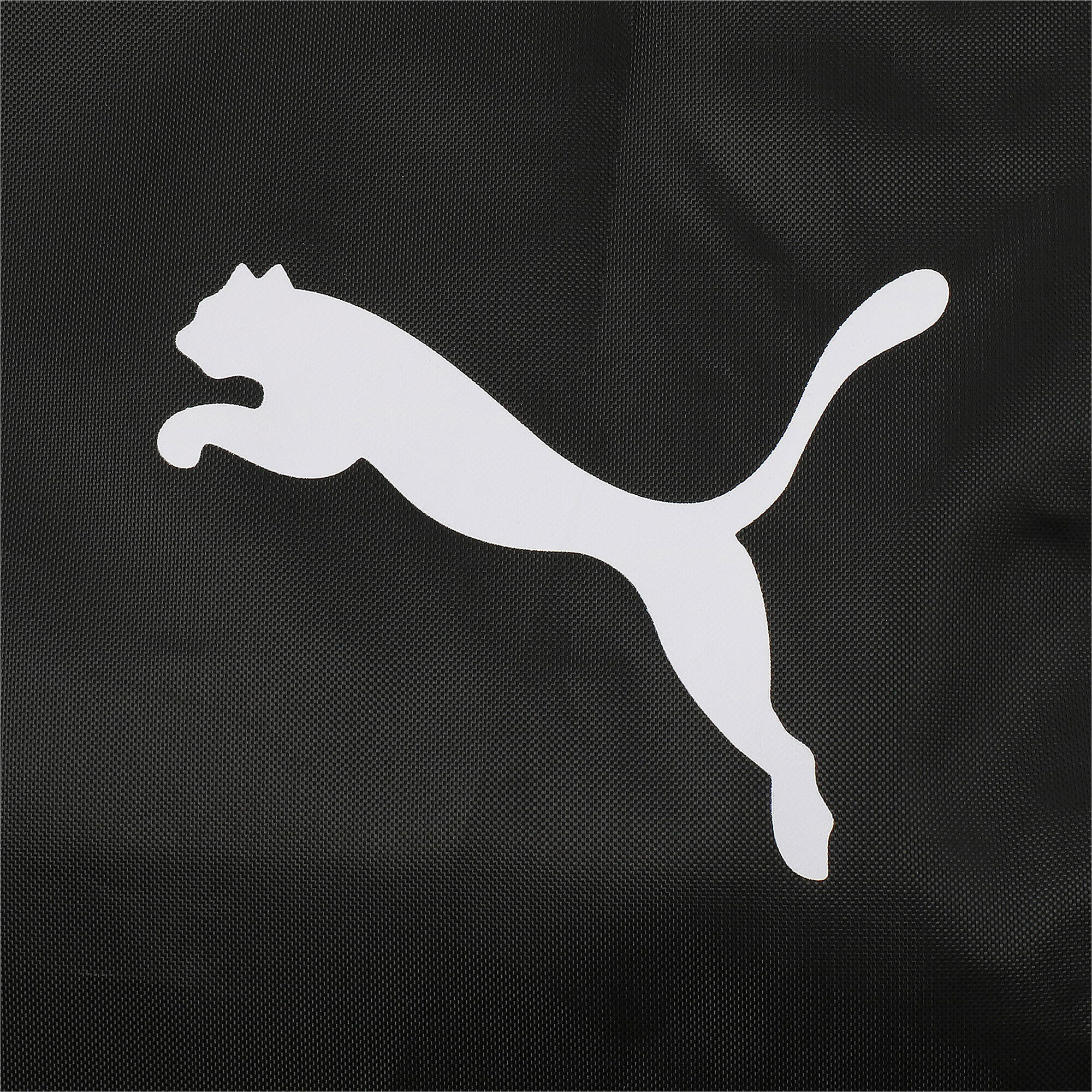 Sac Puma team goal 4/6