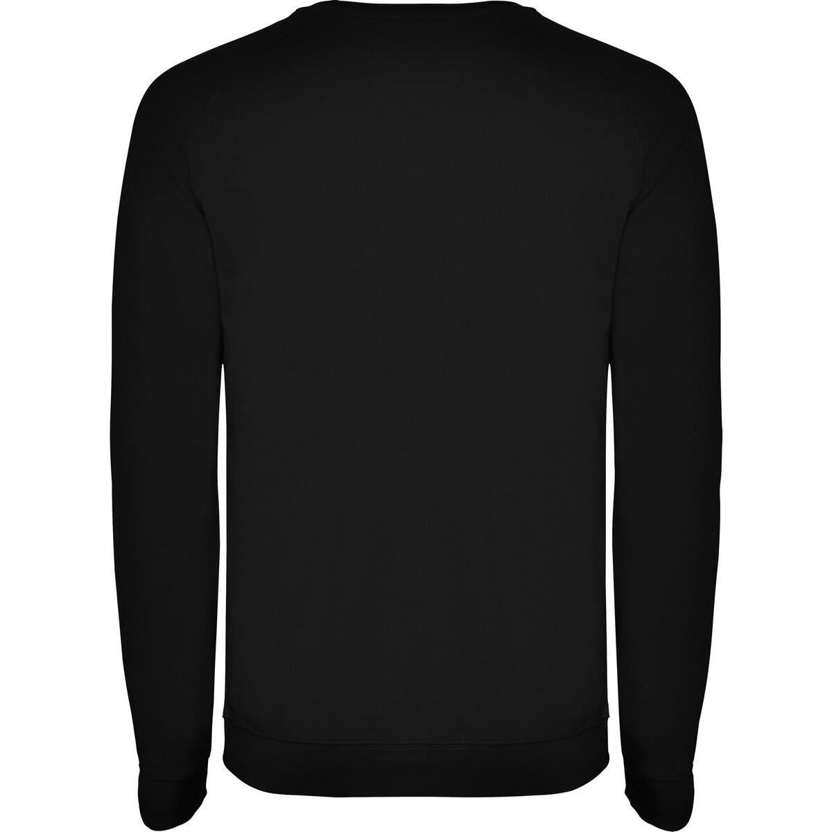 Heren Annapurna Effen Sweatshirt (Zwart) 2/3