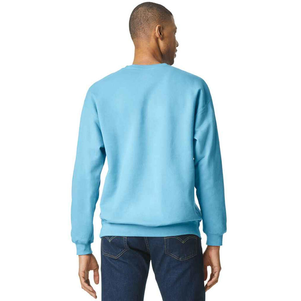 Sweat SOFT STYLE Homme (Ciel) 2/3