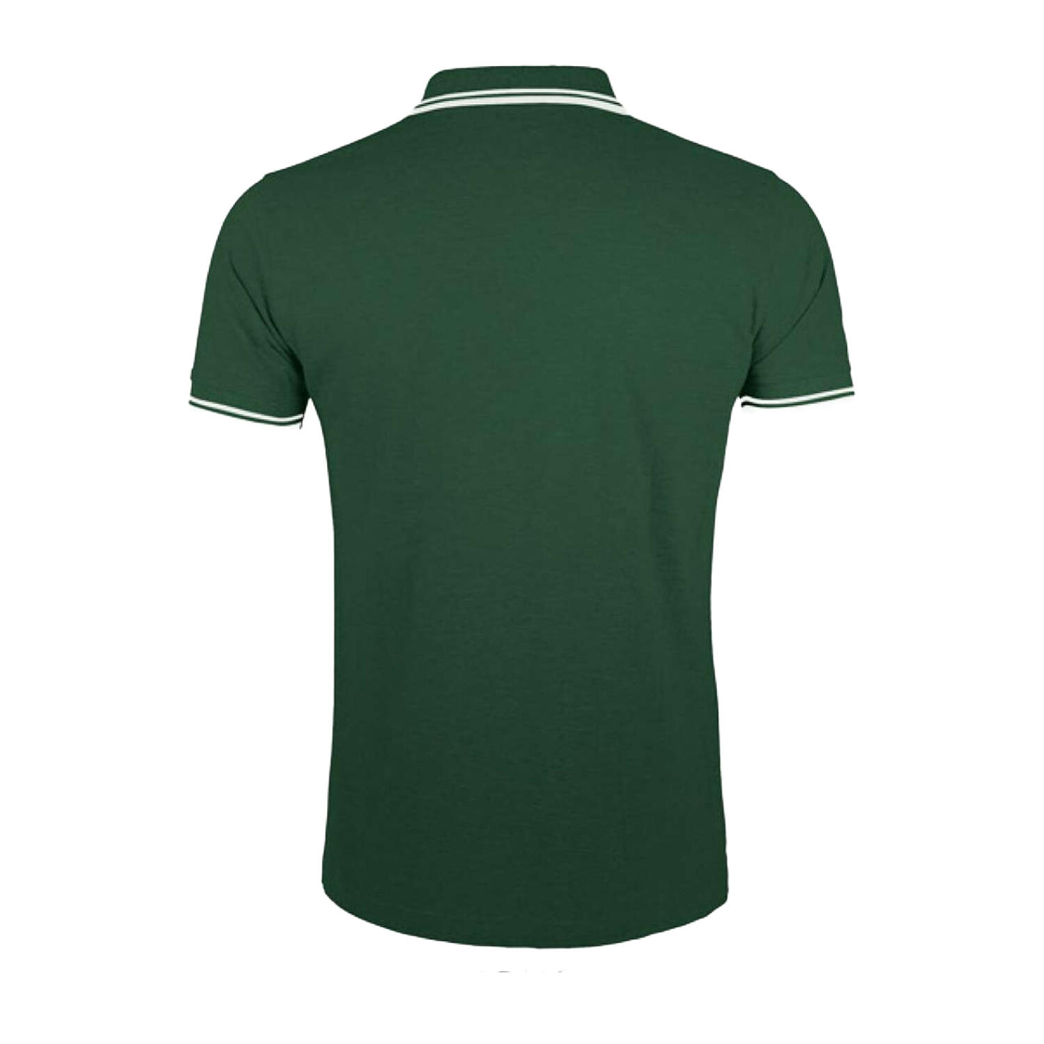 Polo PASADENA Homme (Vert Forêt / Blanc) 2/4